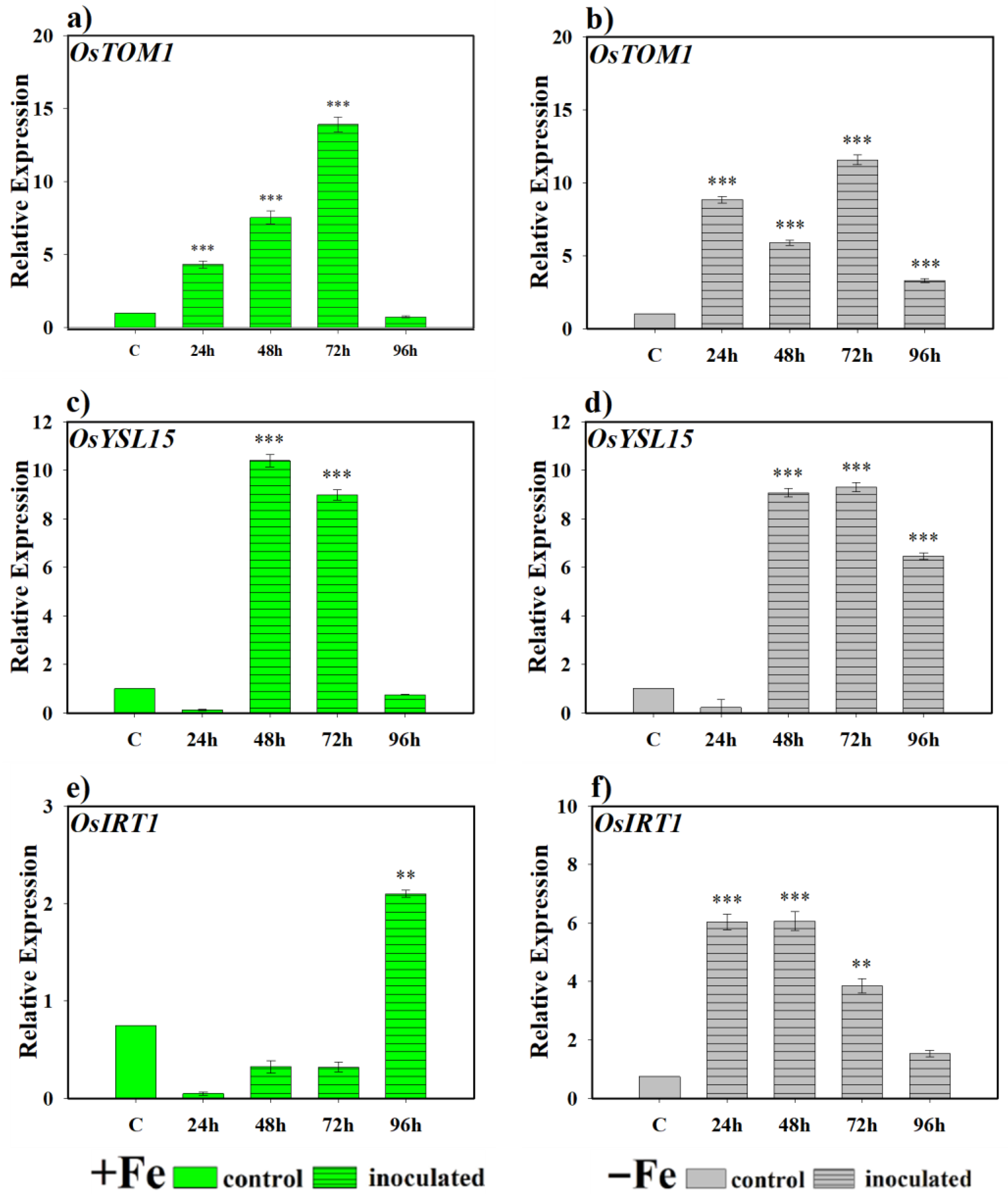 Plants 14 03769 g004 Plants 14 03769 g004