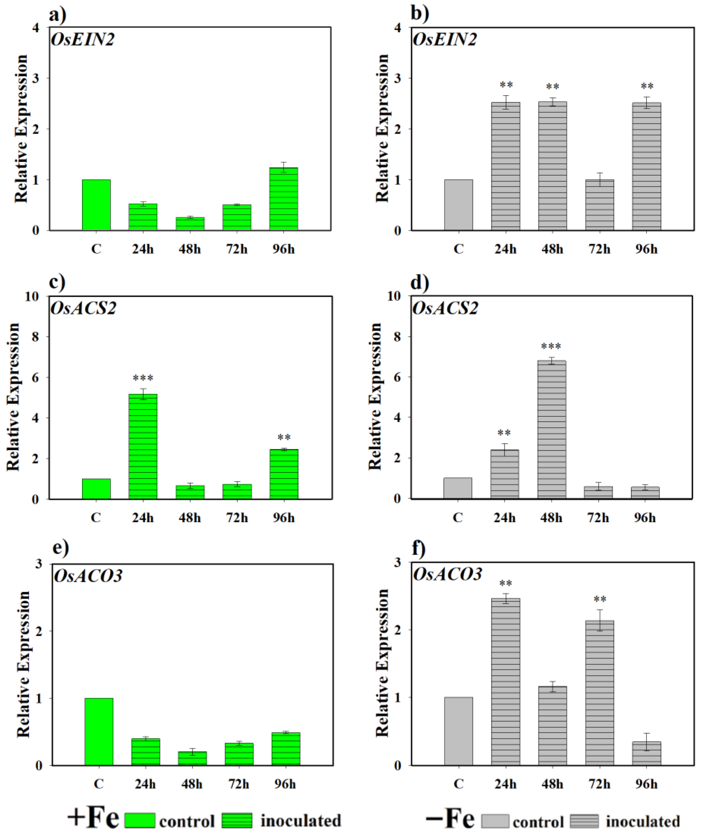 Plants 14 03769 g007 Plants 14 03769 g007