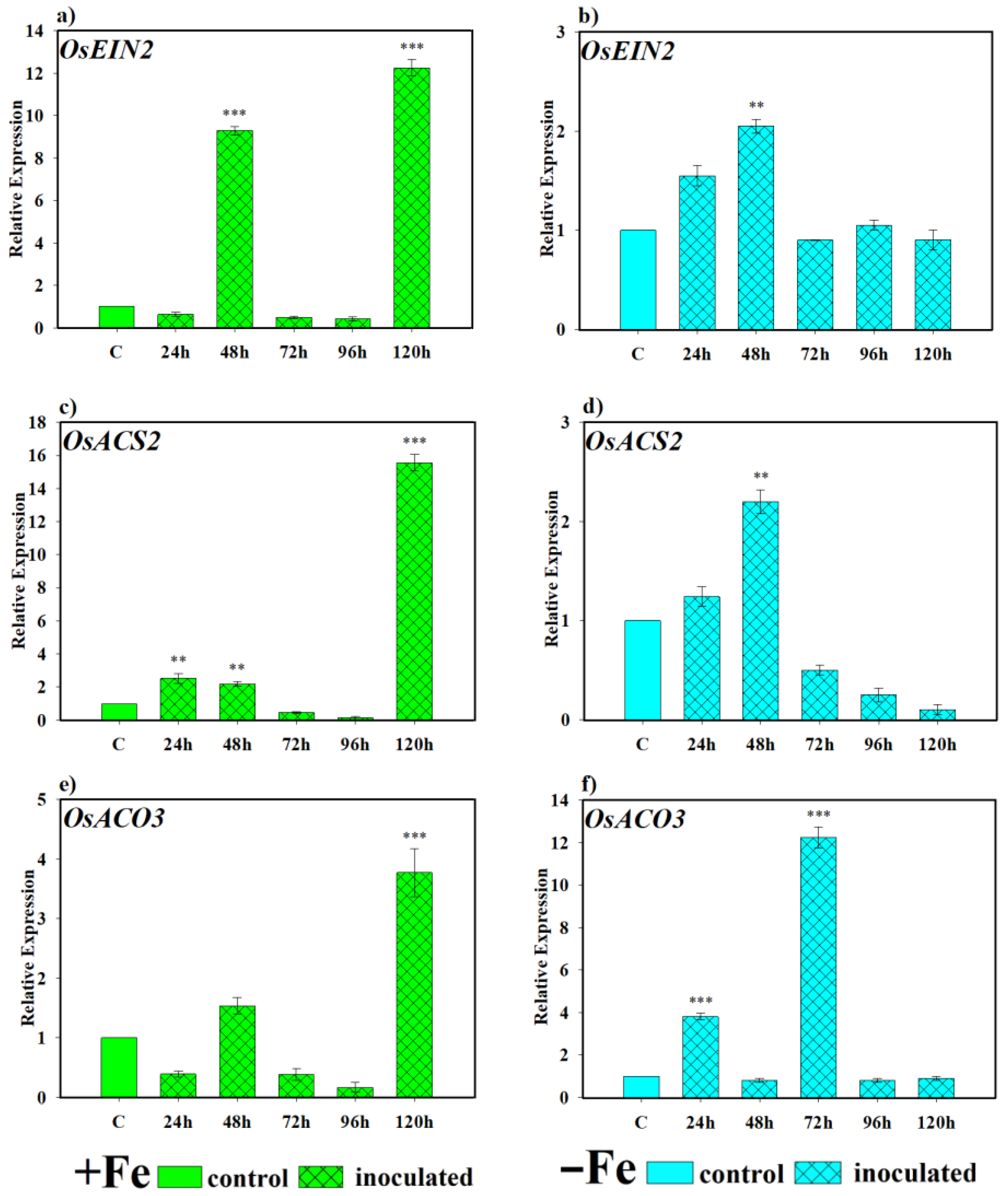 Plants 14 03769 g008 Plants 14 03769 g008