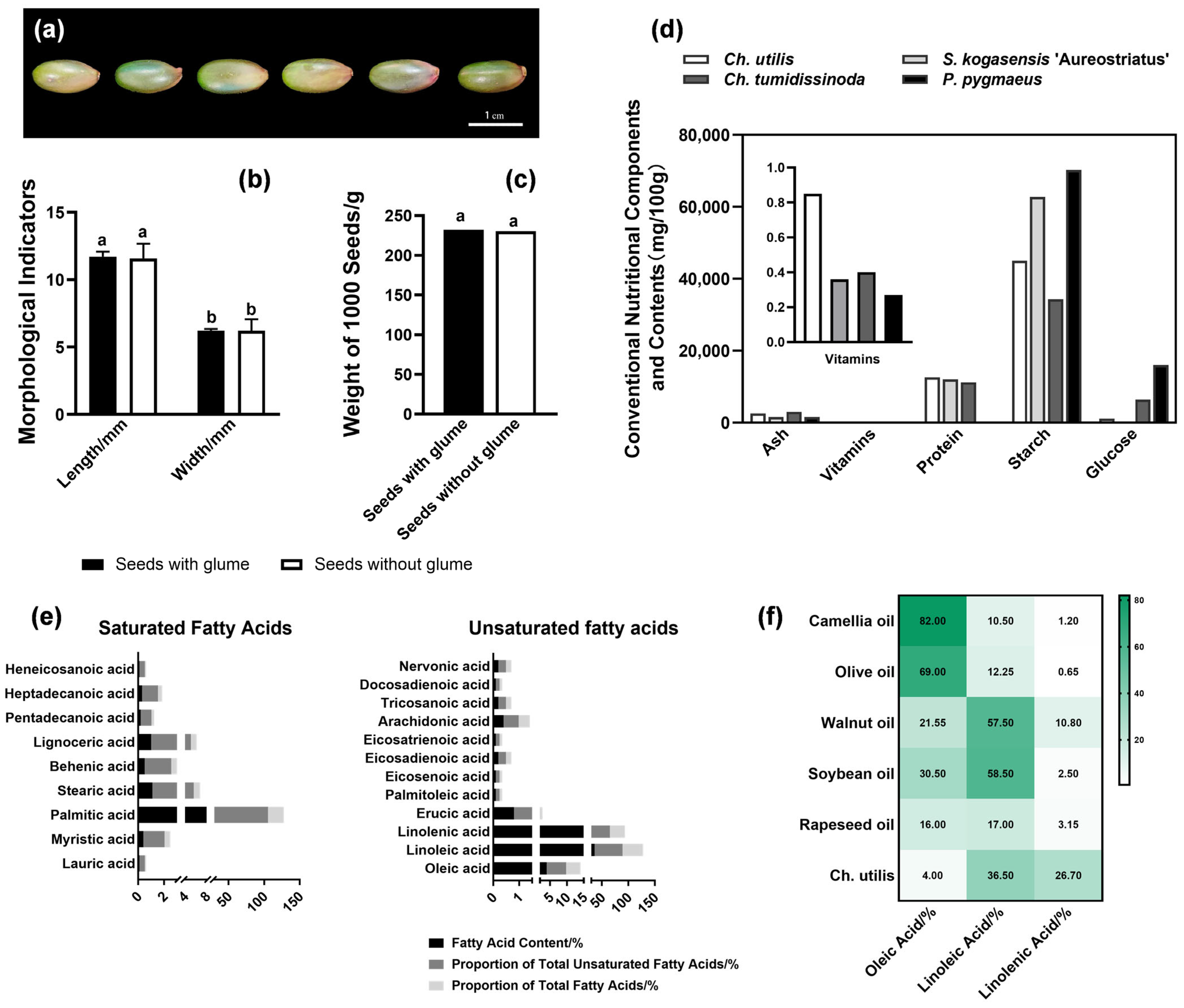Plants 14 03780 g001