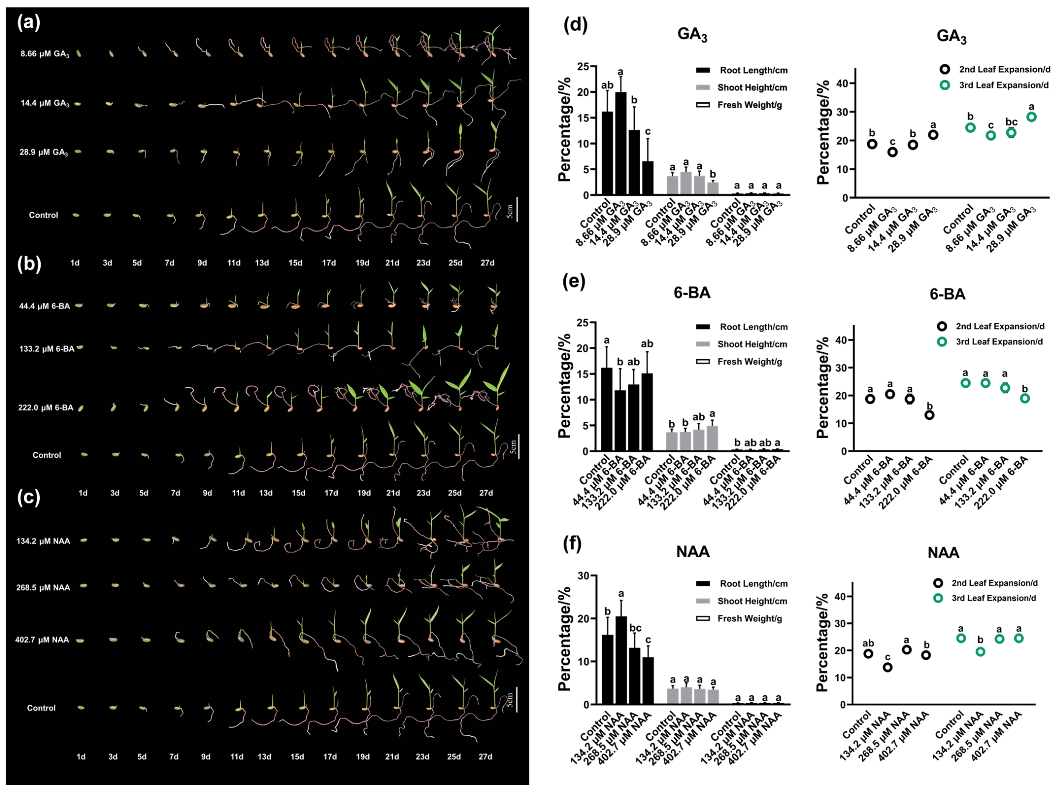 Plants 14 03780 g006