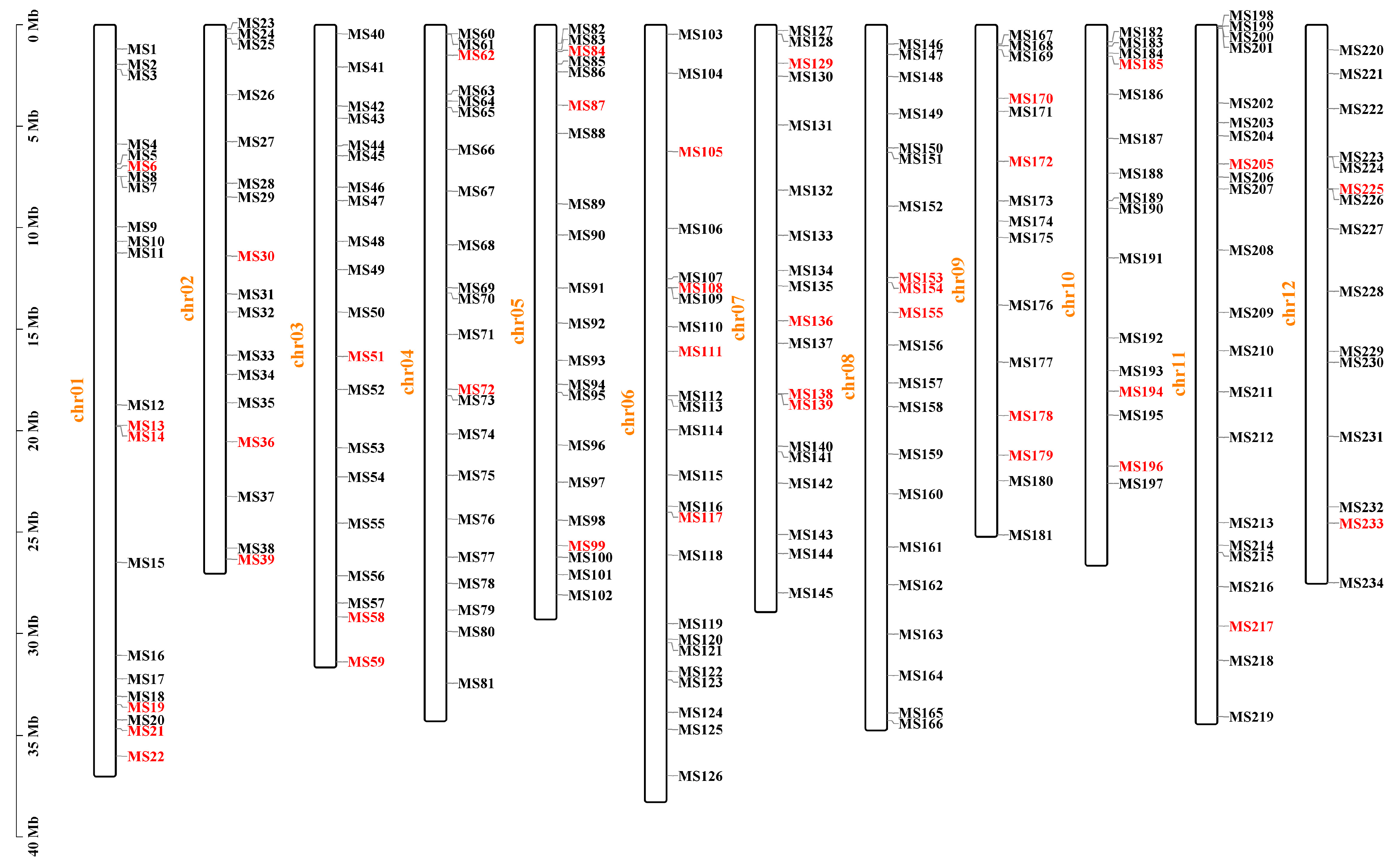 Plants 14 03782 g002