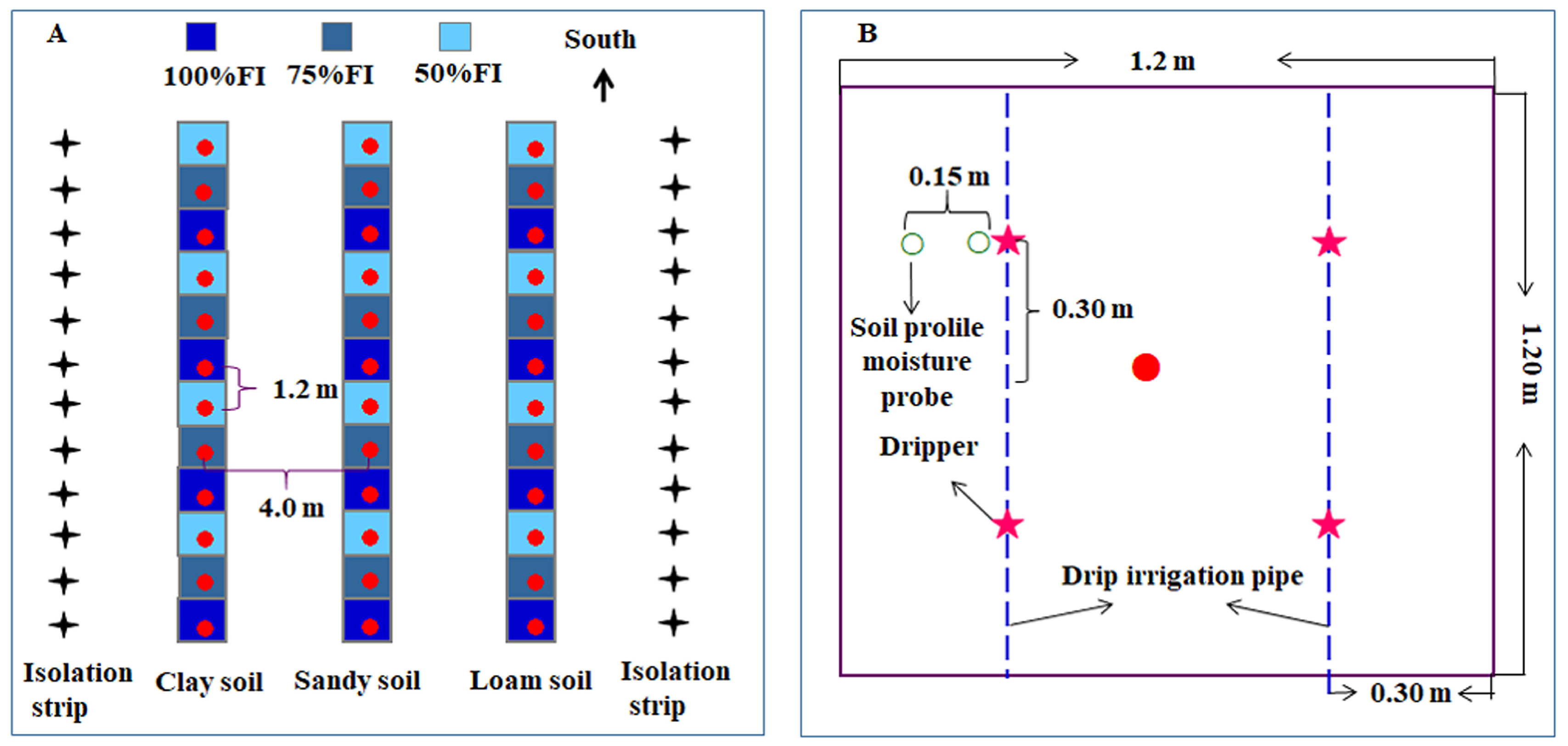 Plants 14 03784 g007 Plants 14 03784 g007