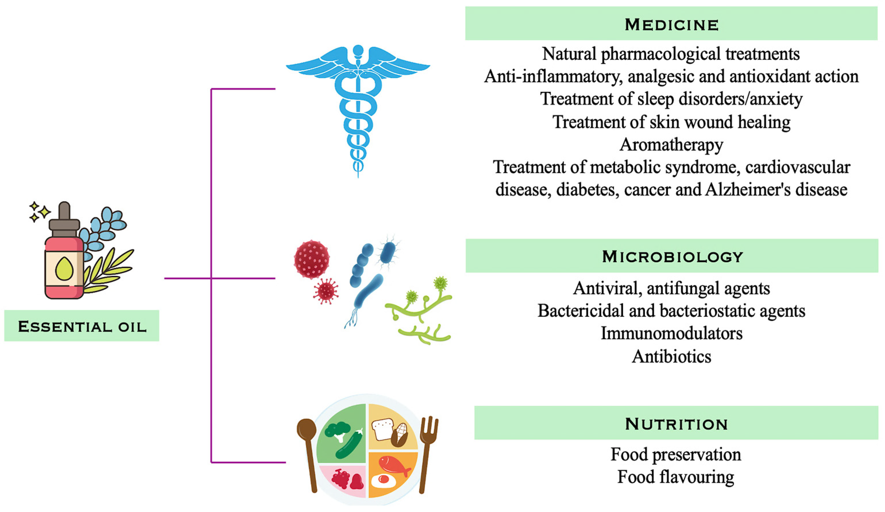 Plants 14 03789 g001 Plants 14 03789 g001