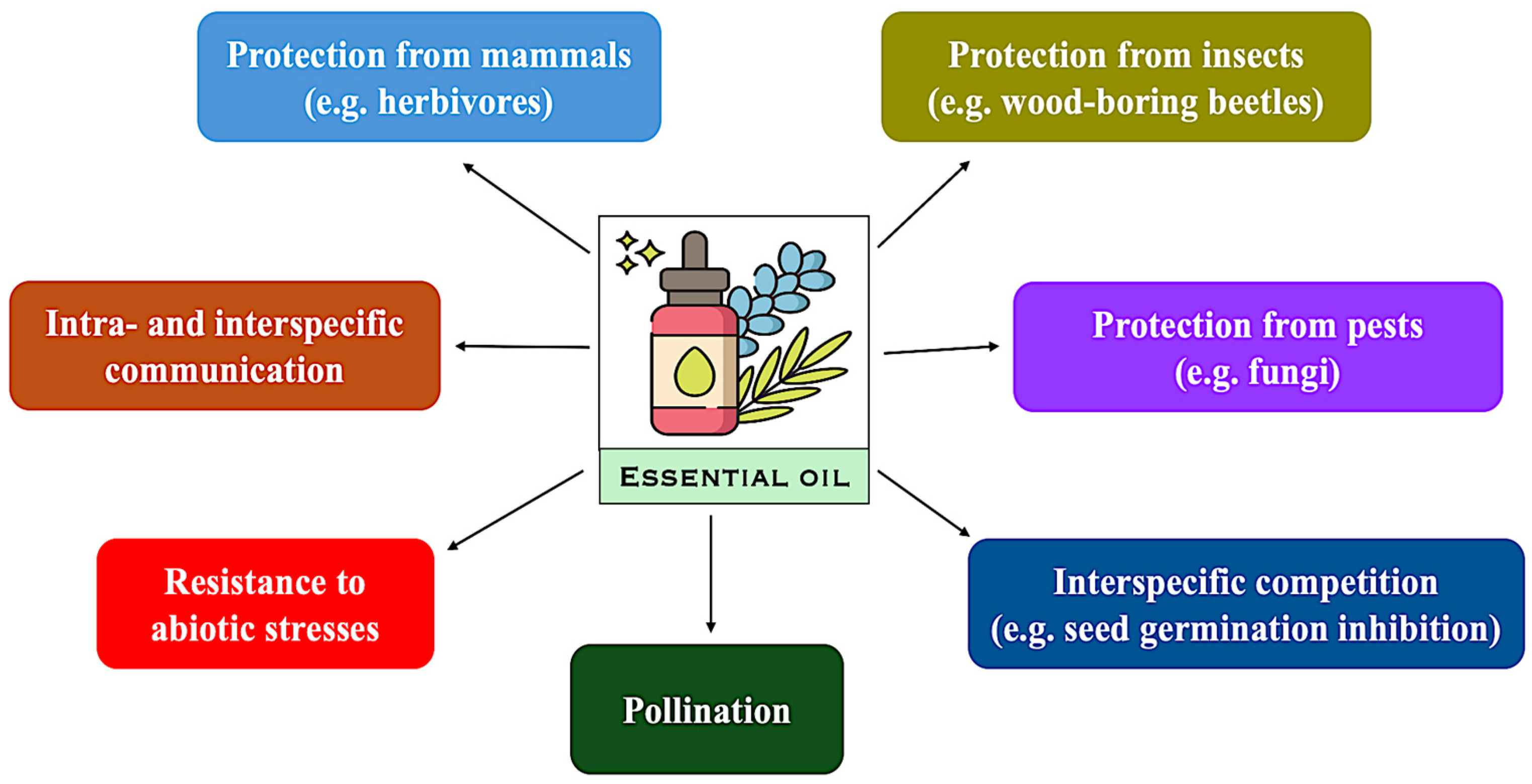 Plants 14 03789 g002 Plants 14 03789 g002