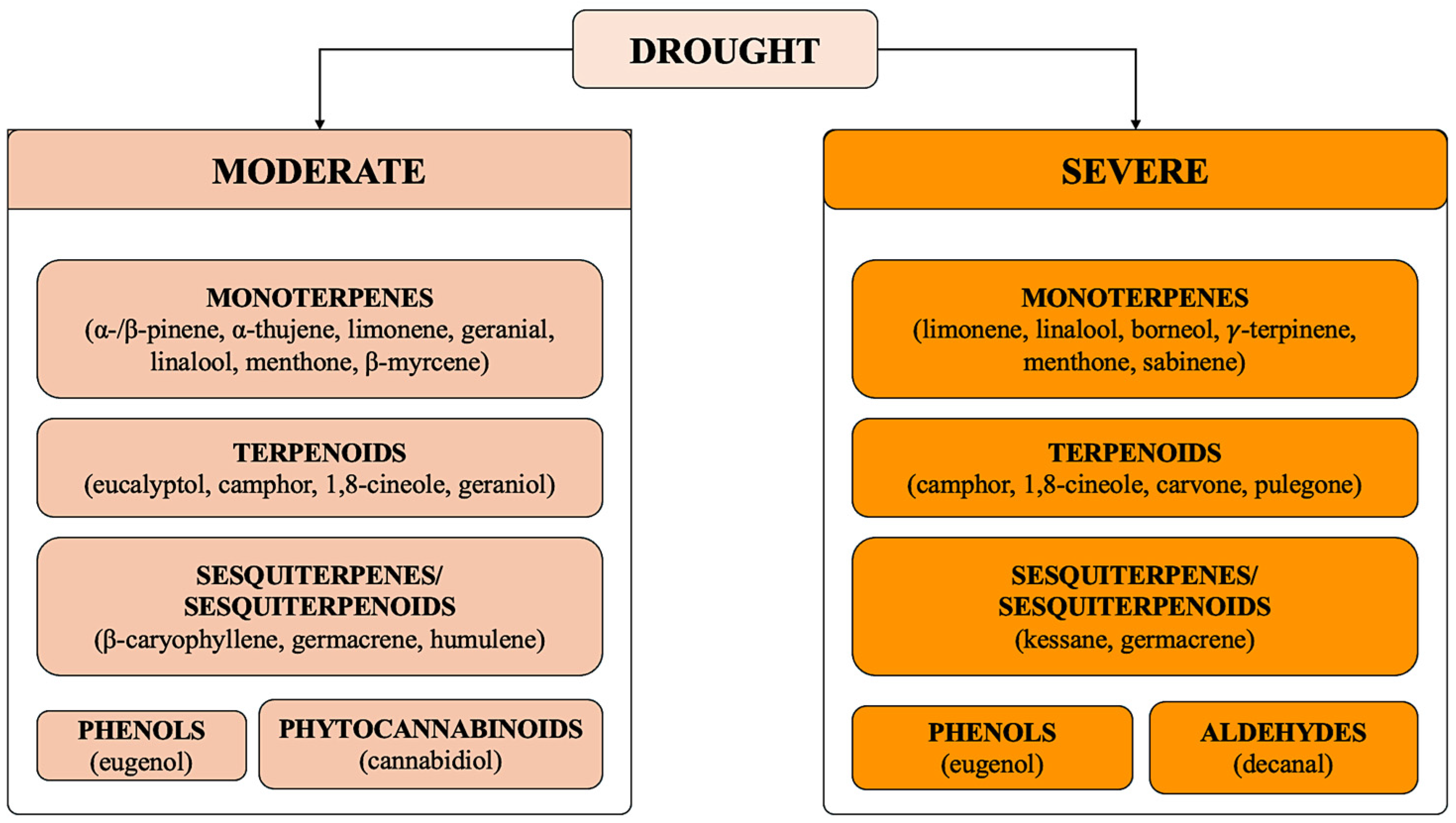 Plants 14 03789 g004 Plants 14 03789 g004