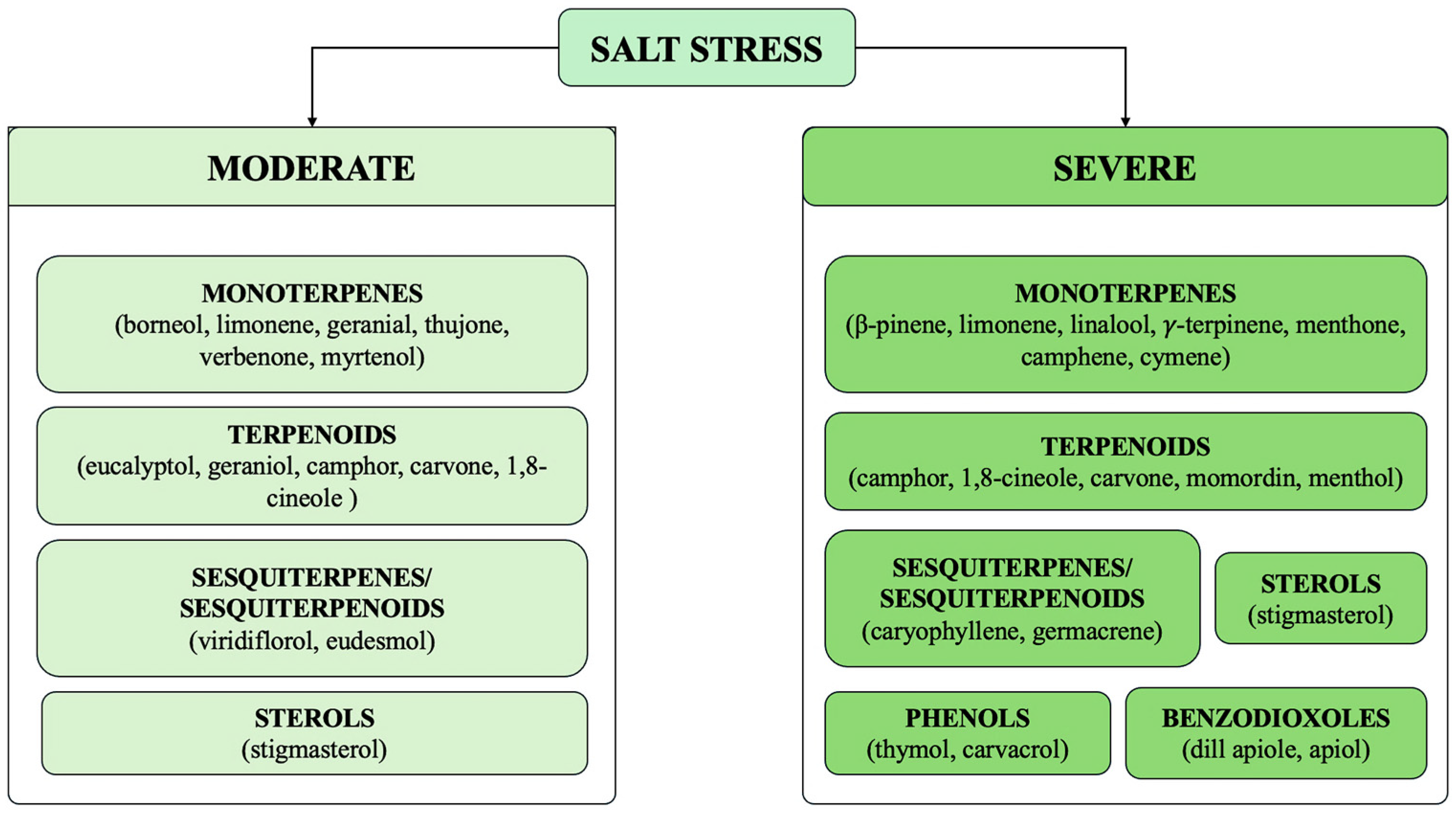 Plants 14 03789 g007 Plants 14 03789 g007
