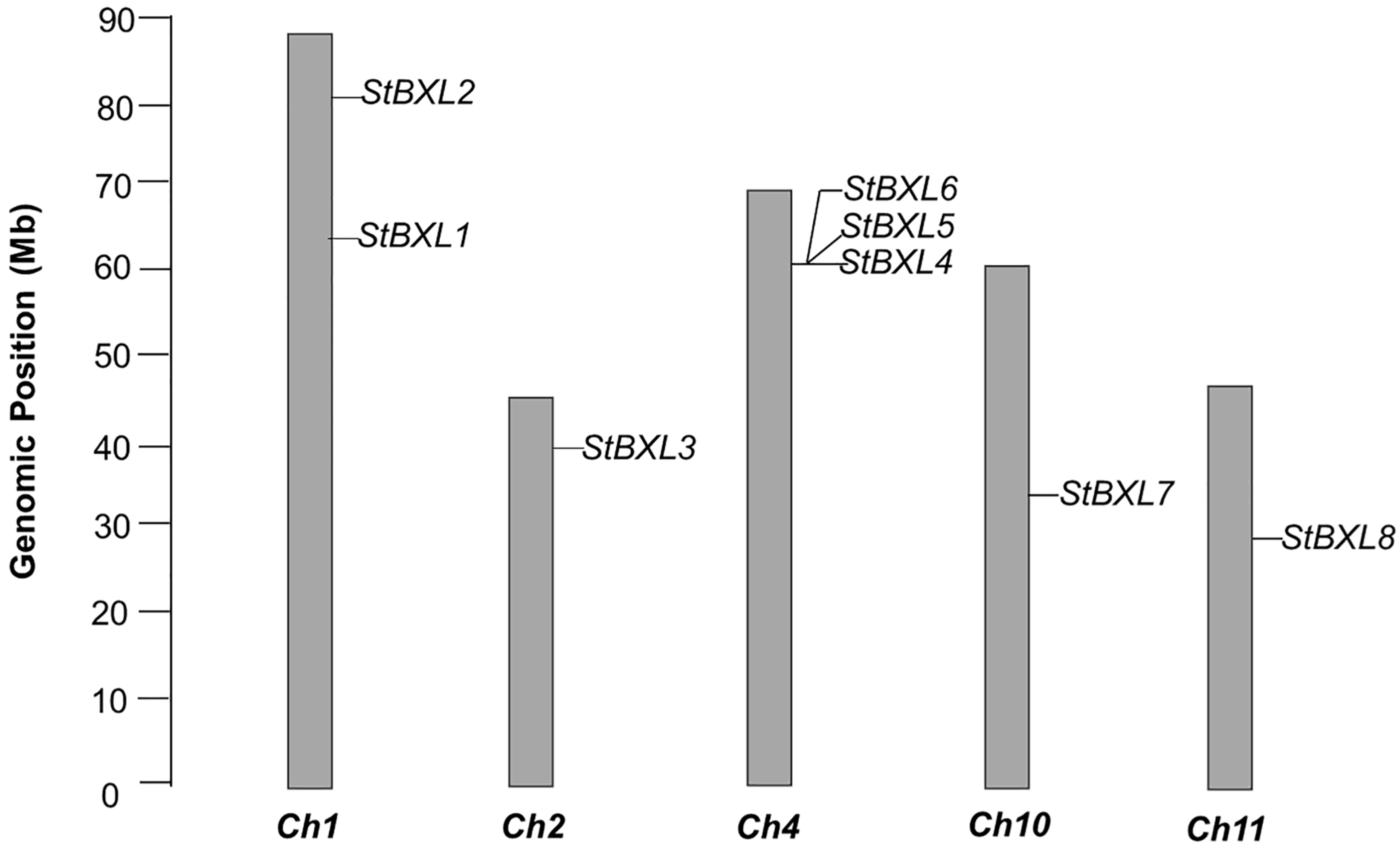 Plants 14 03790 g001 Plants 14 03790 g001
