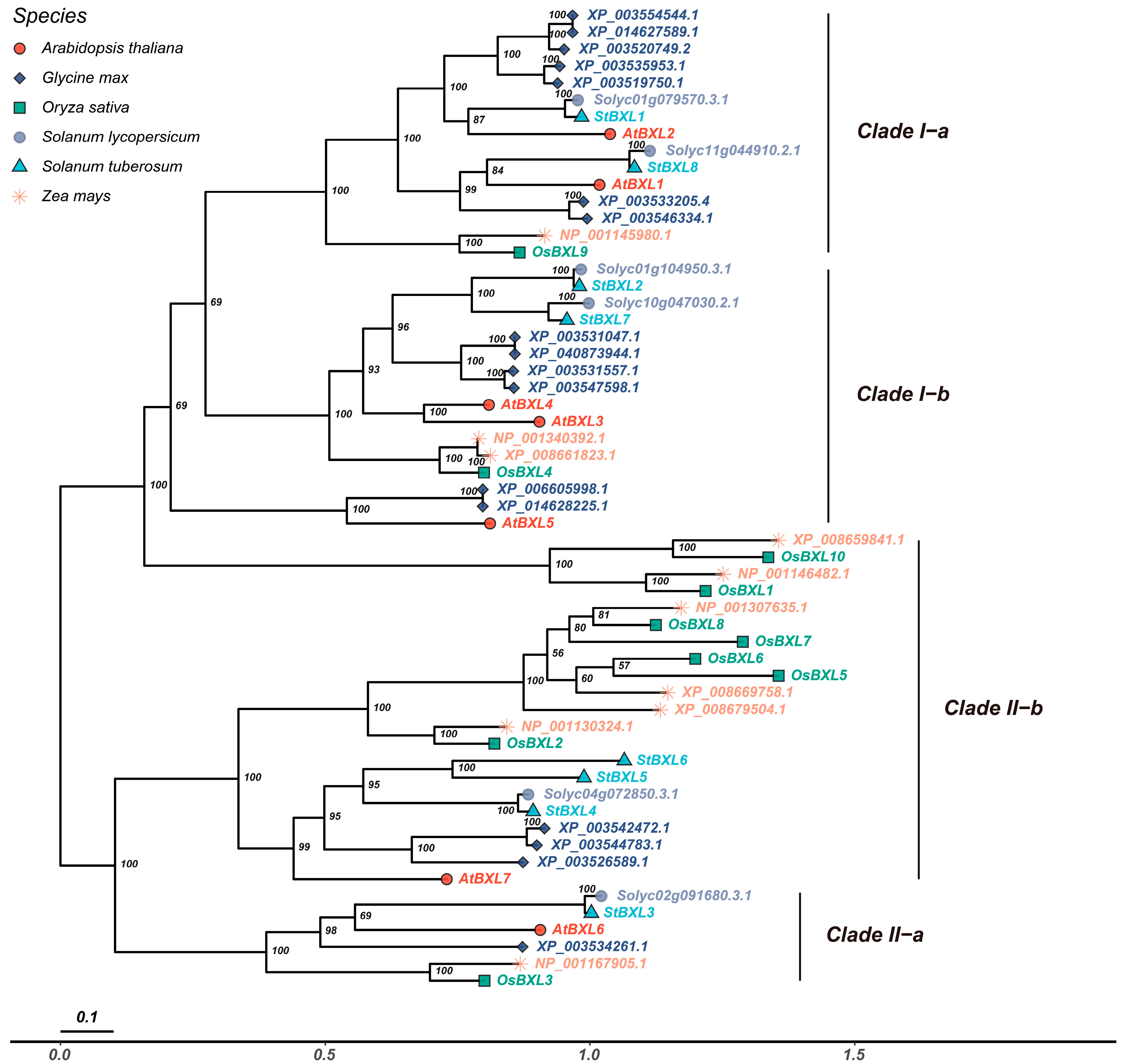 Plants 14 03790 g002 Plants 14 03790 g002