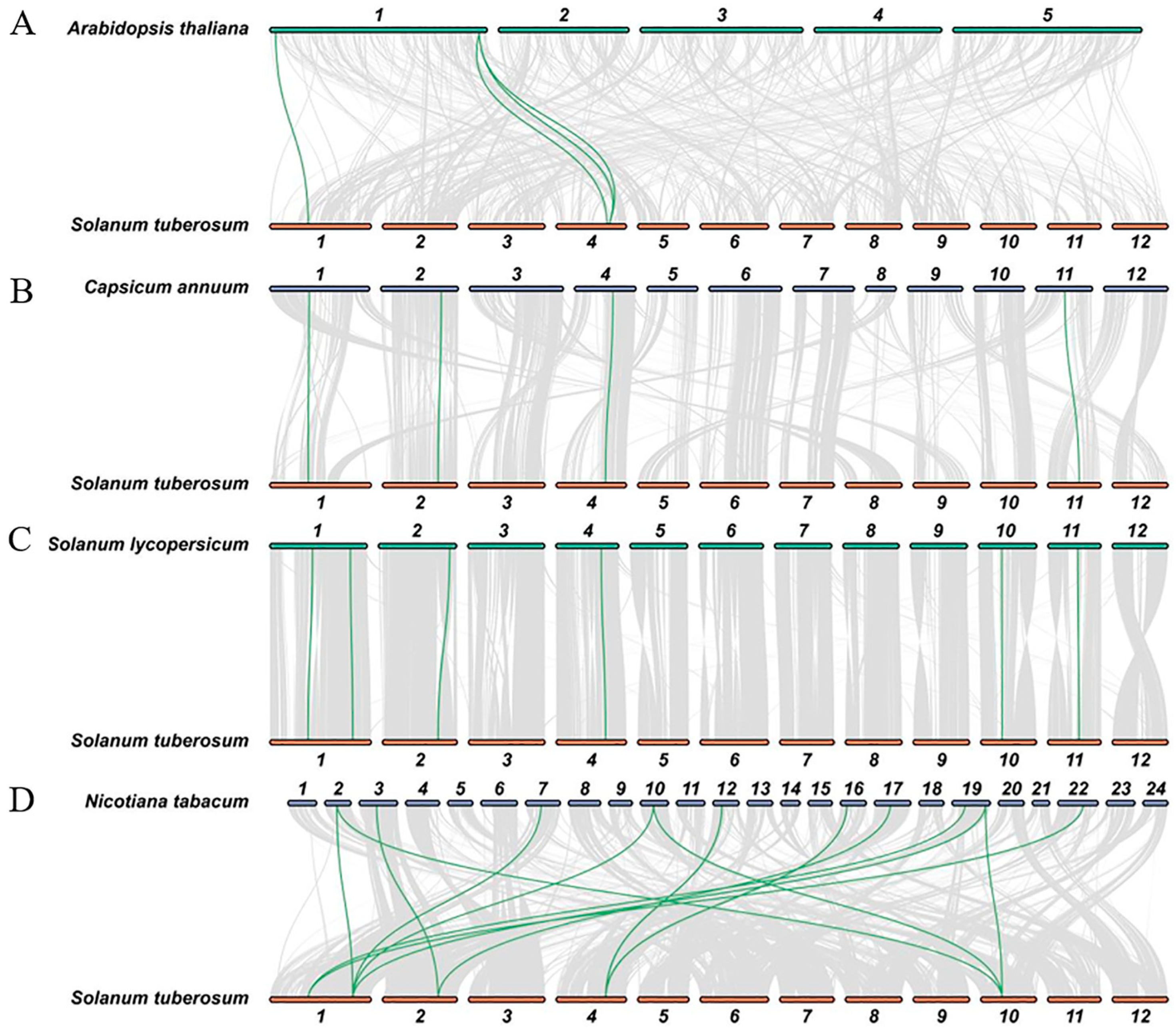 Plants 14 03790 g003 Plants 14 03790 g003