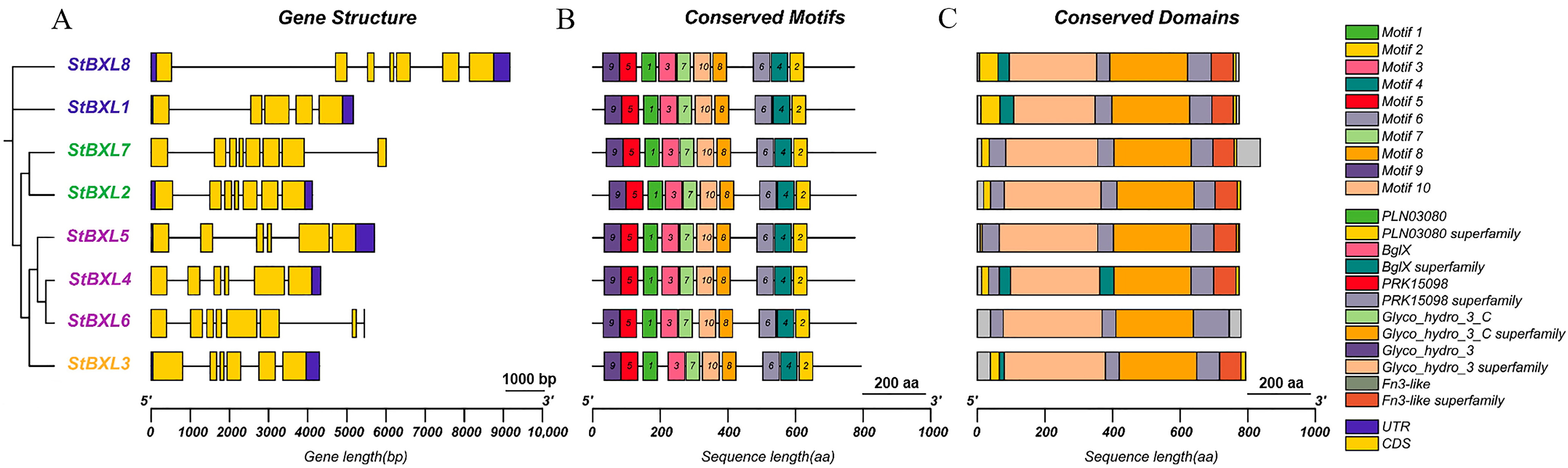 Plants 14 03790 g004 Plants 14 03790 g004