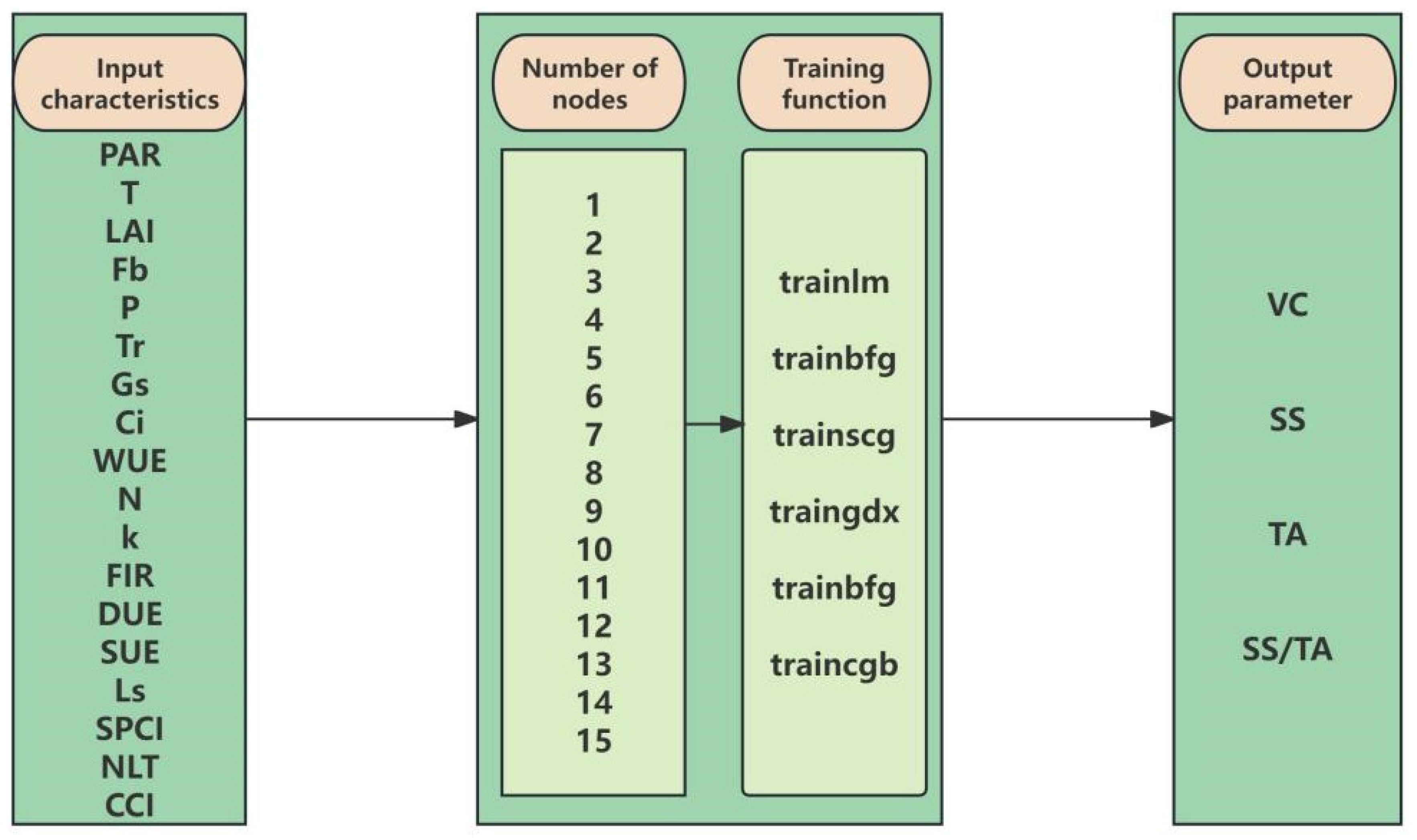 Plants 14 03795 g001