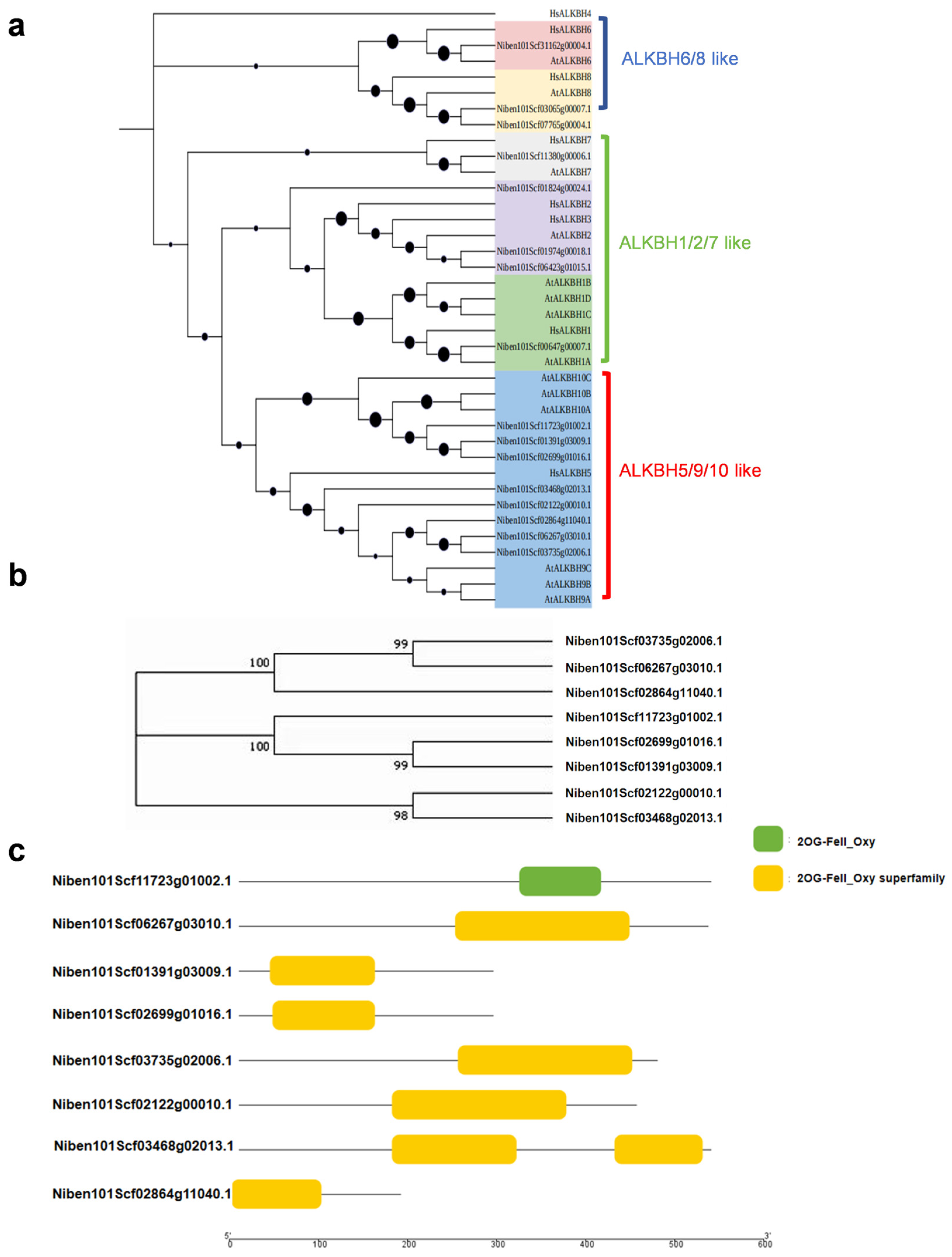 Plants 14 03796 g001 Plants 14 03796 g001