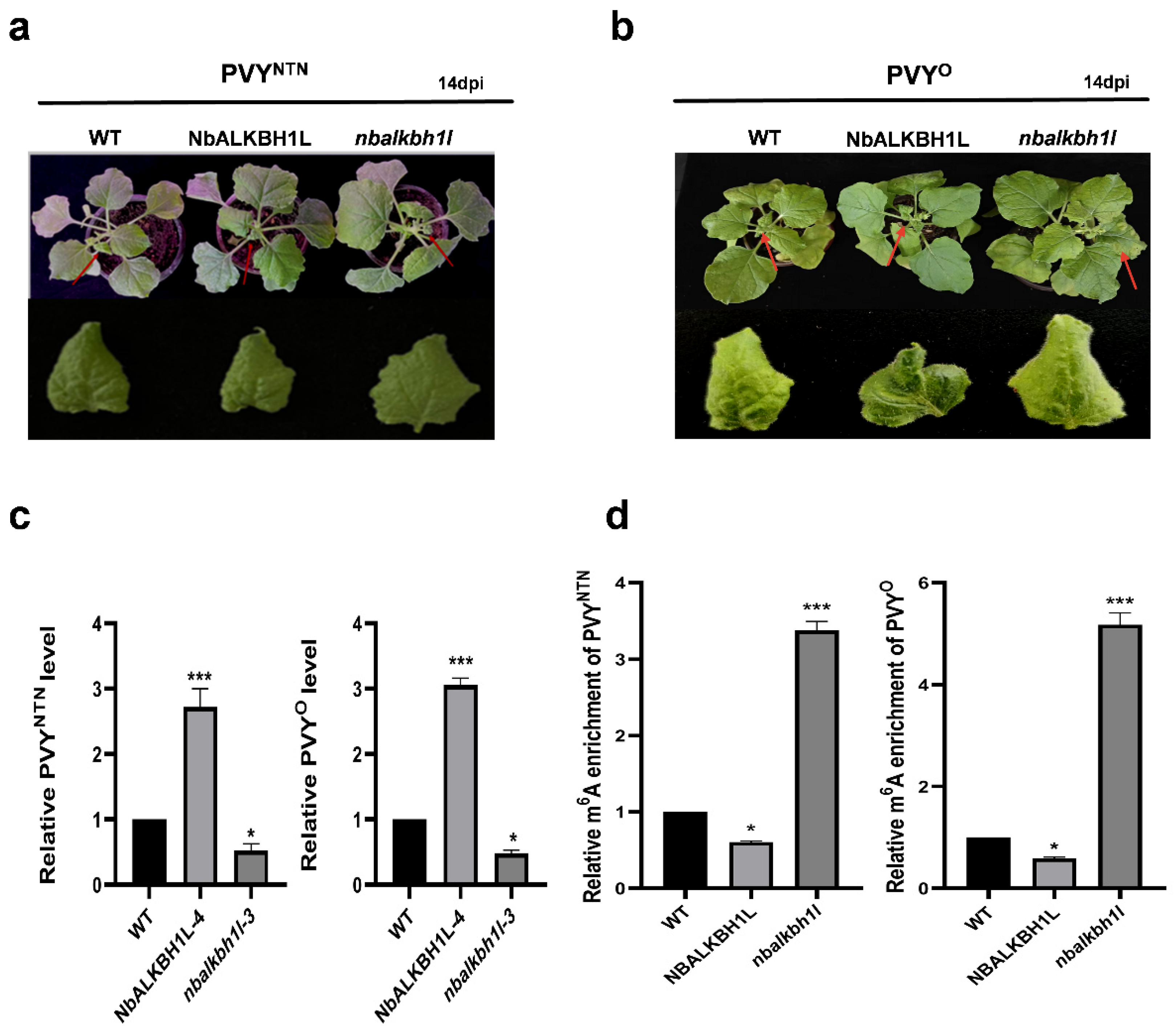 Plants 14 03796 g005 Plants 14 03796 g005