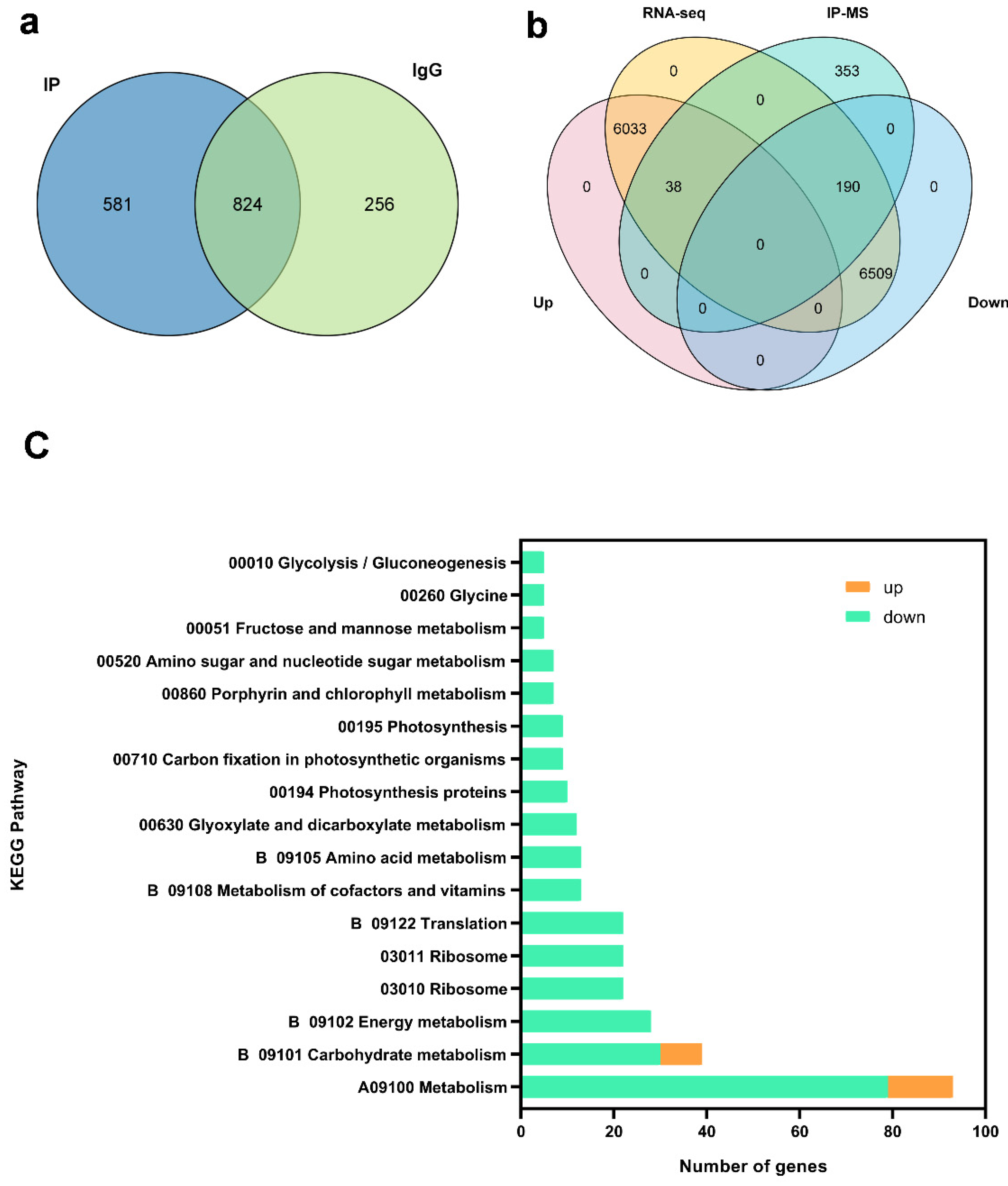 Plants 14 03796 g007 Plants 14 03796 g007