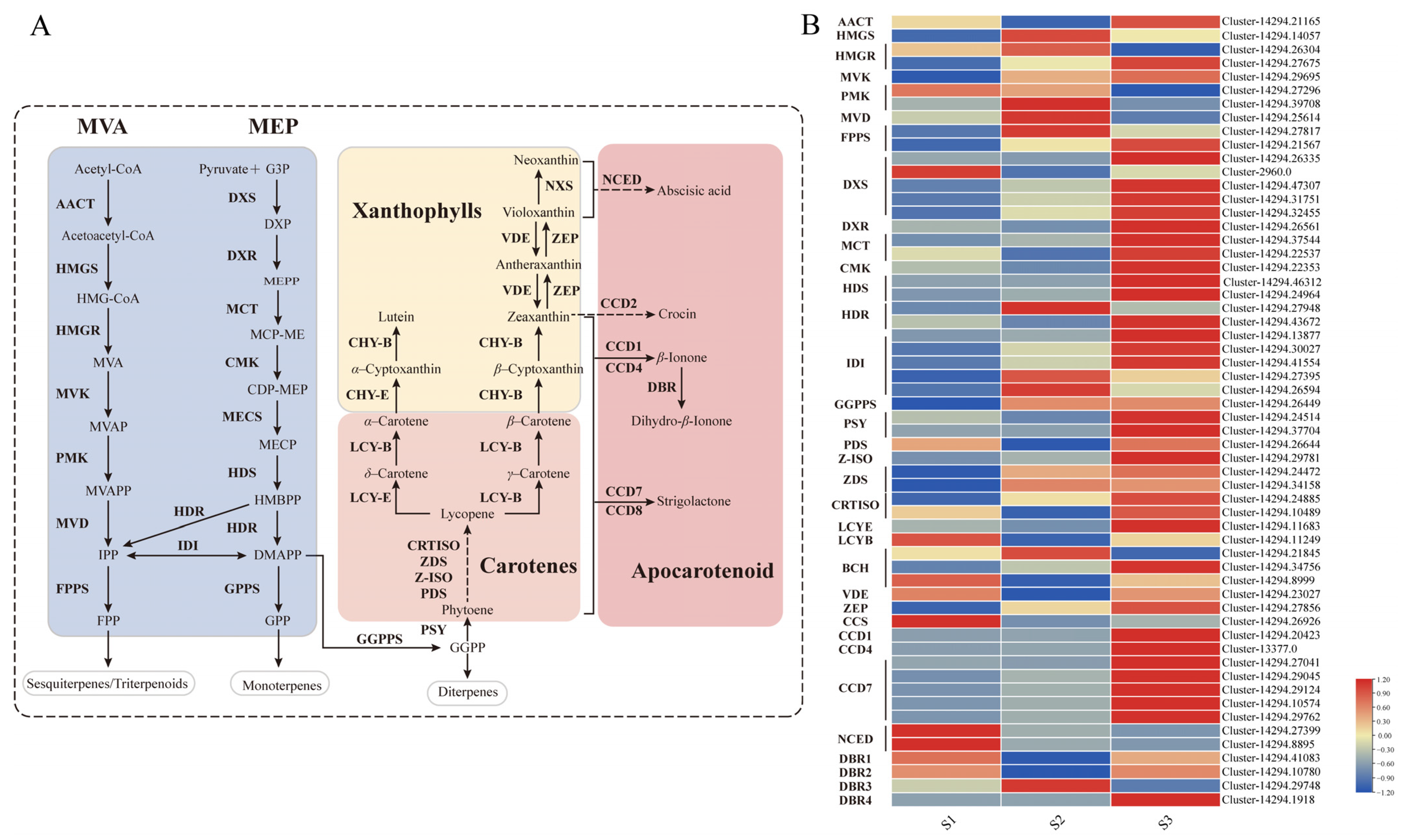 Plants 14 03804 g002 Plants 14 03804 g002