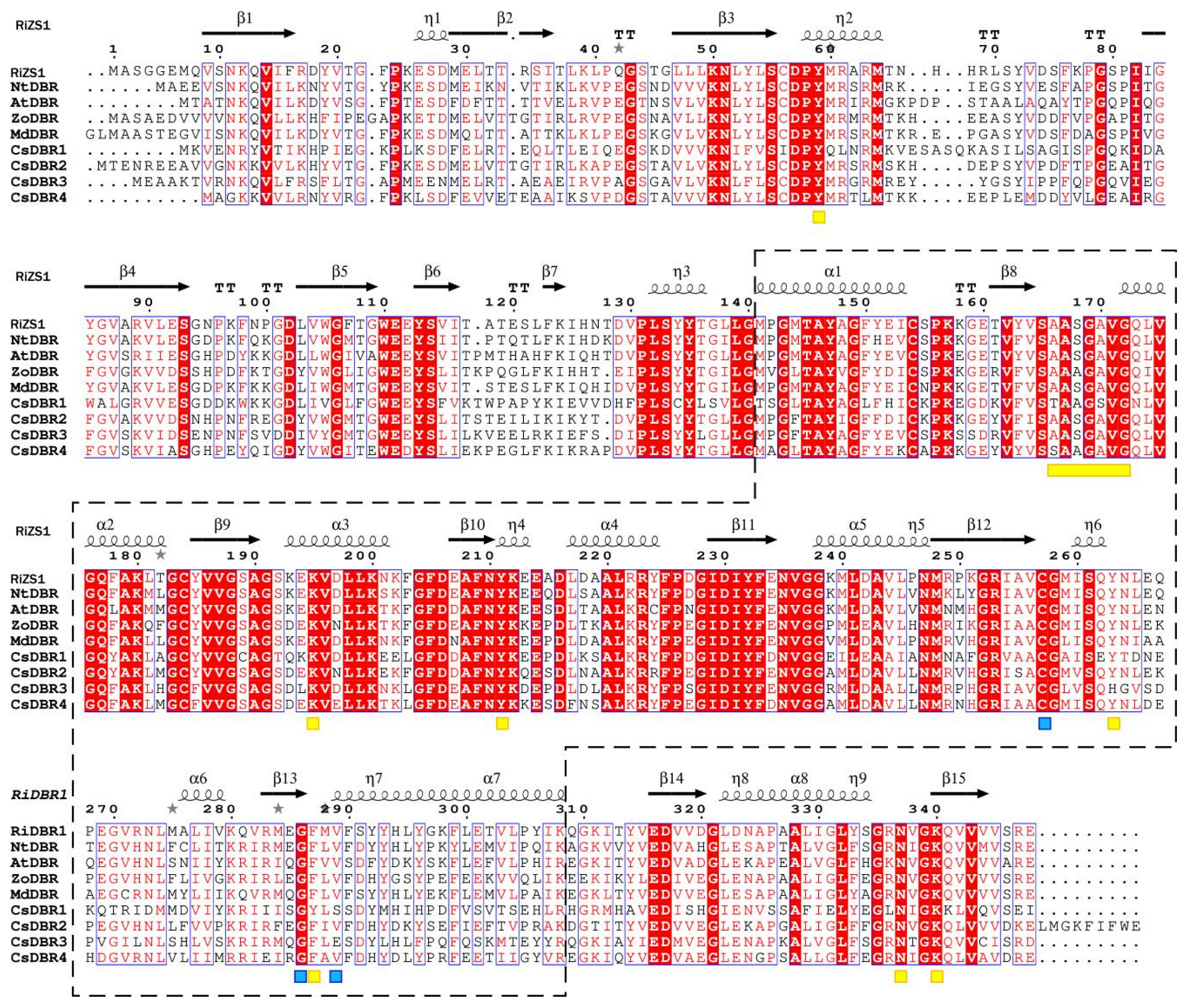 Plants 14 03804 g004 Plants 14 03804 g004