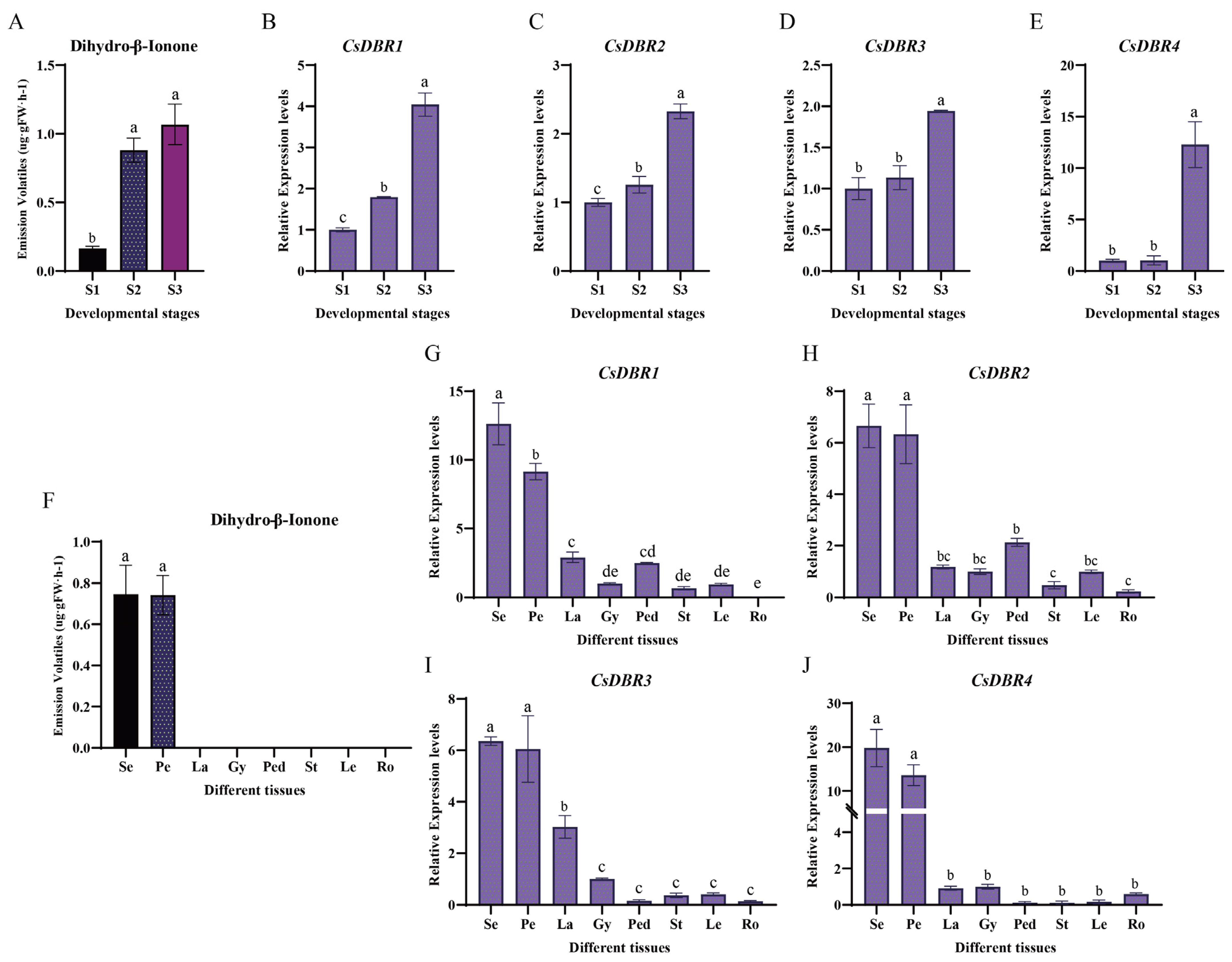 Plants 14 03804 g005 Plants 14 03804 g005
