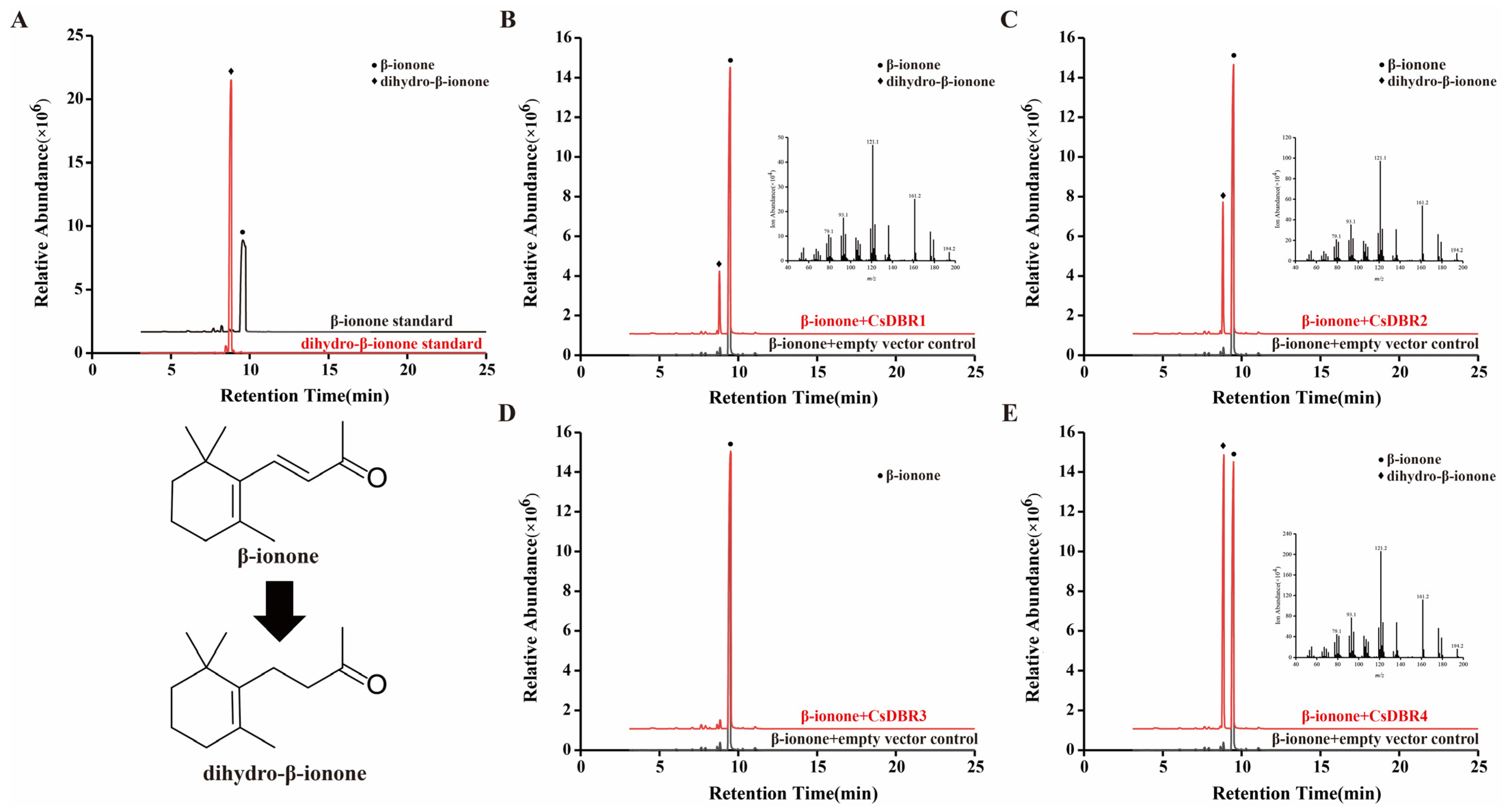 Plants 14 03804 g007 Plants 14 03804 g007
