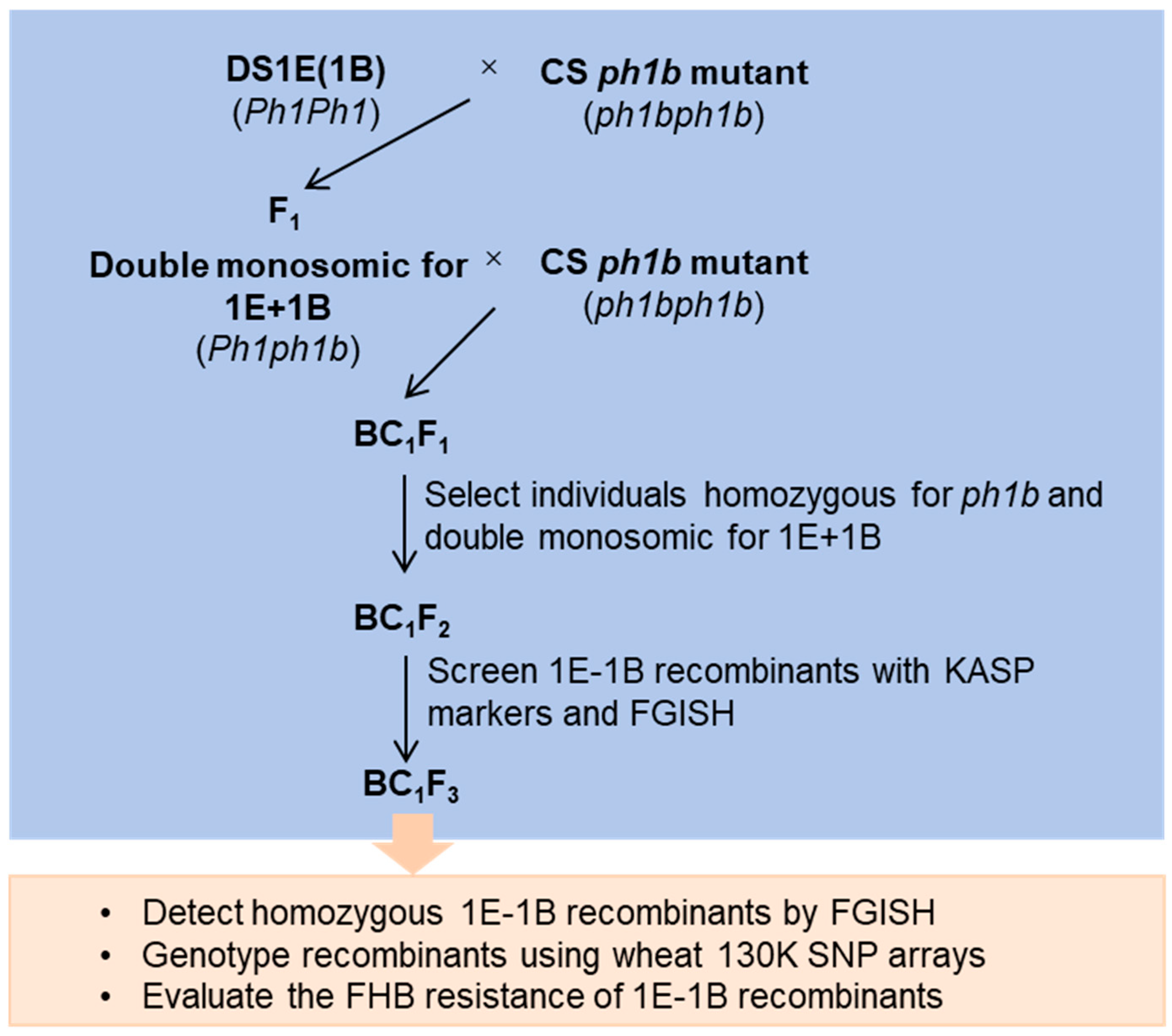Plants 14 03805 g001 Plants 14 03805 g001
