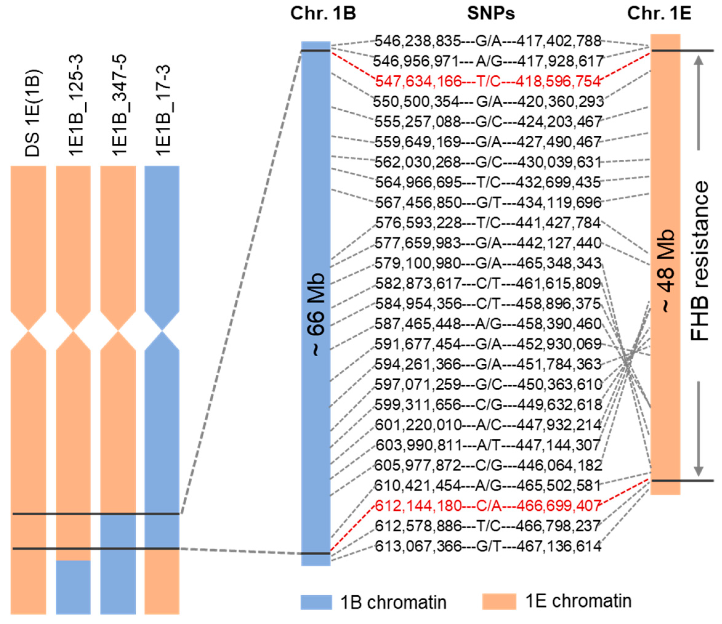 Plants 14 03805 g007 Plants 14 03805 g007