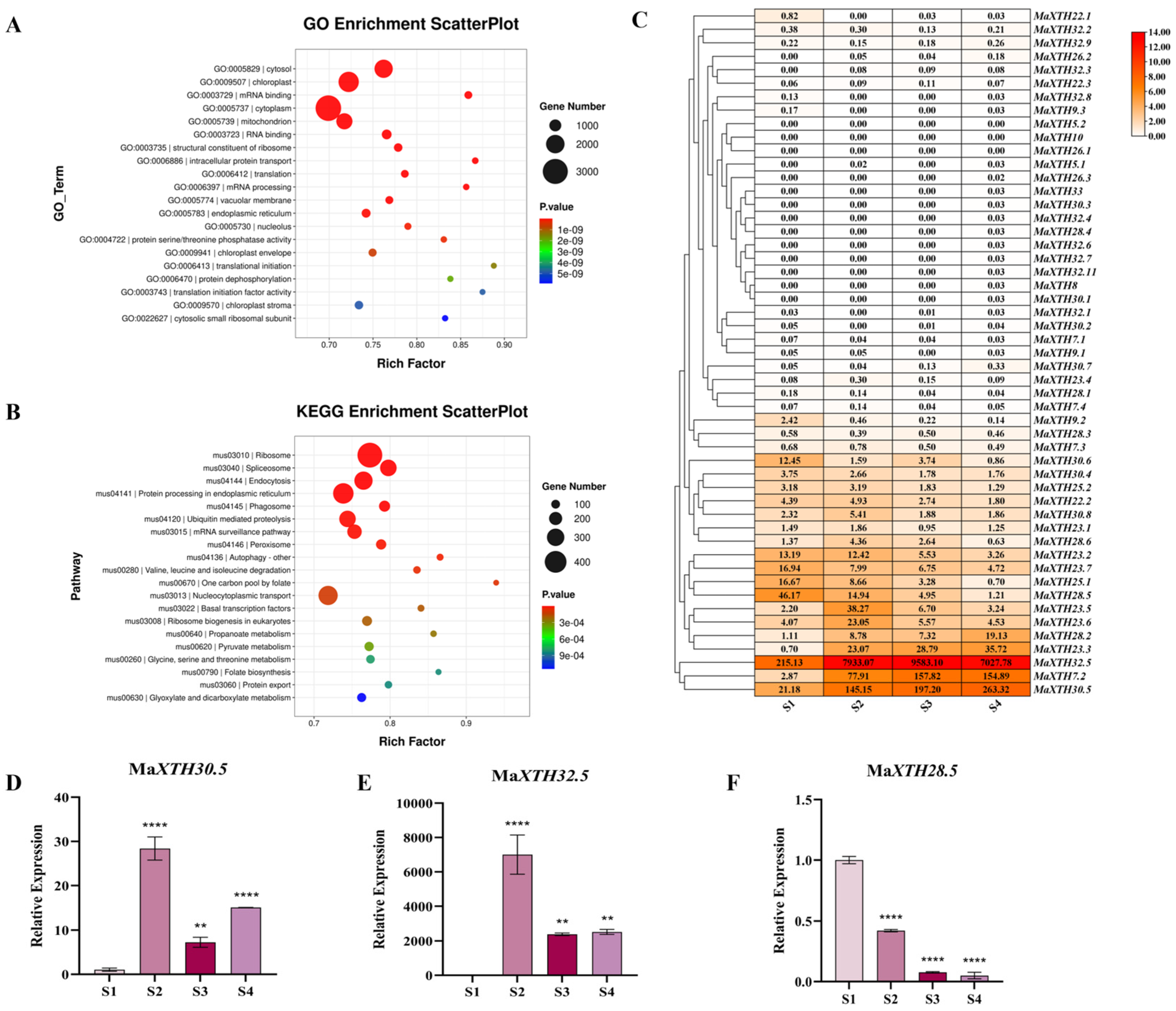 Plants 14 03810 g002