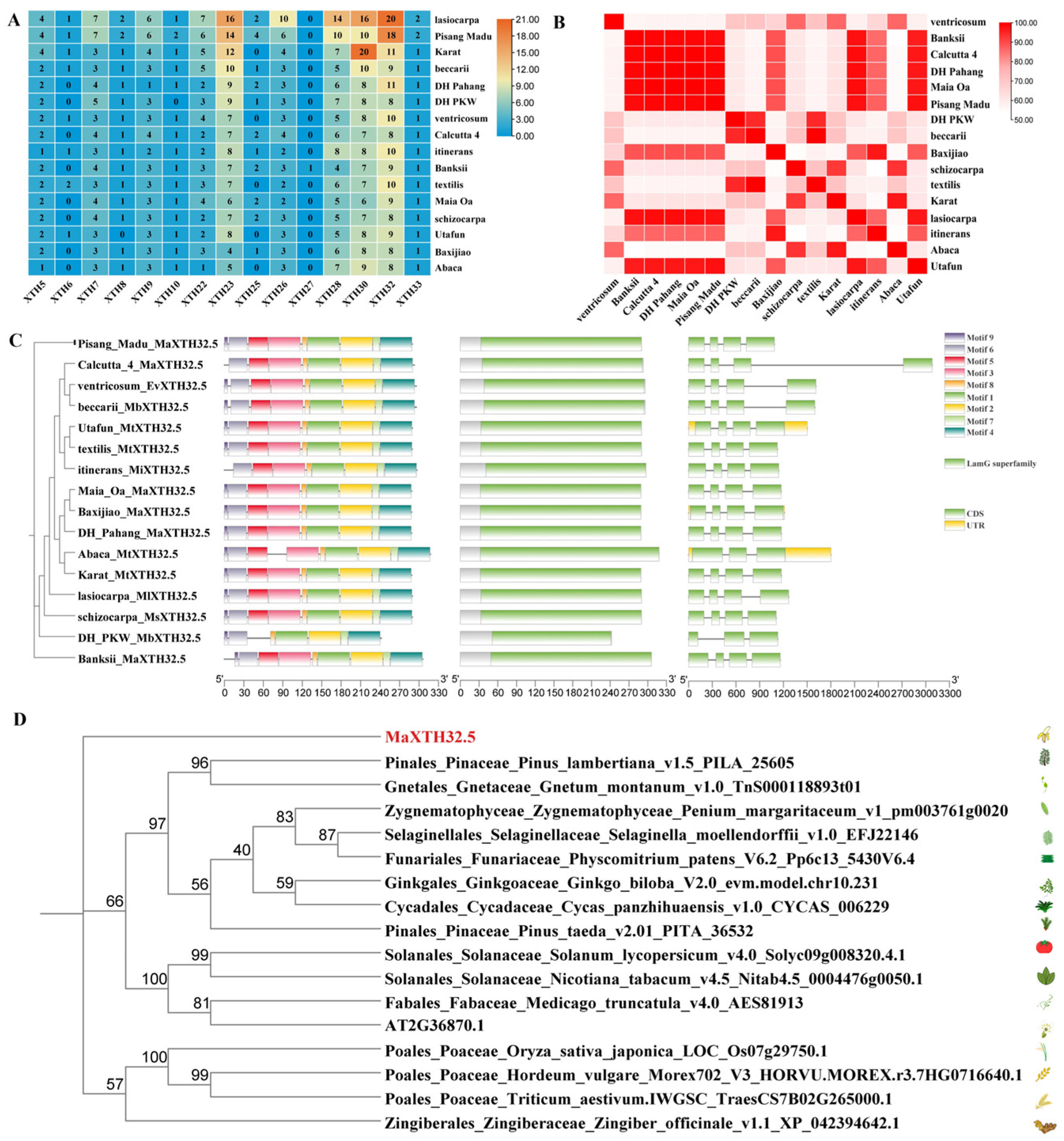 Plants 14 03810 g003