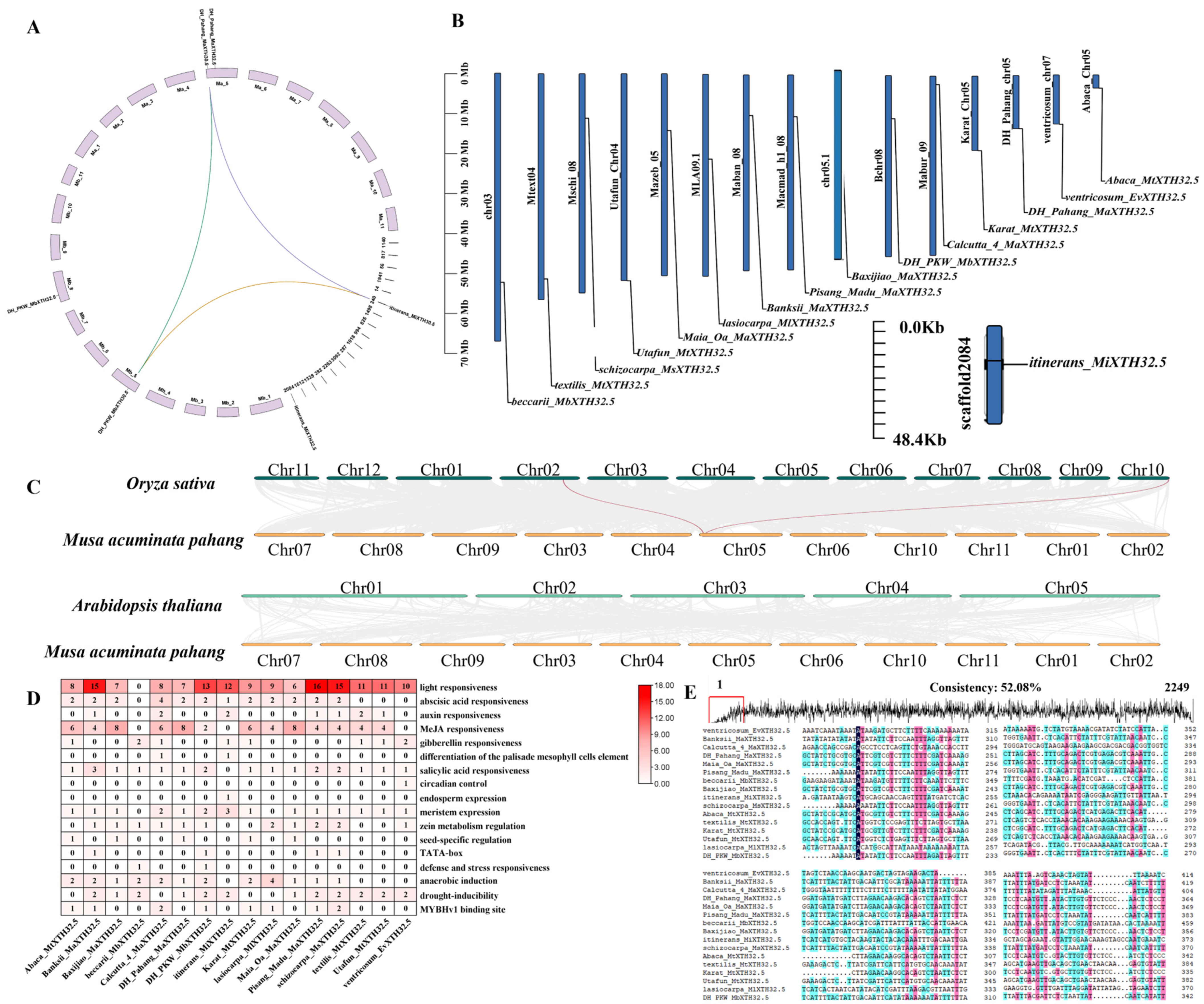 Plants 14 03810 g004