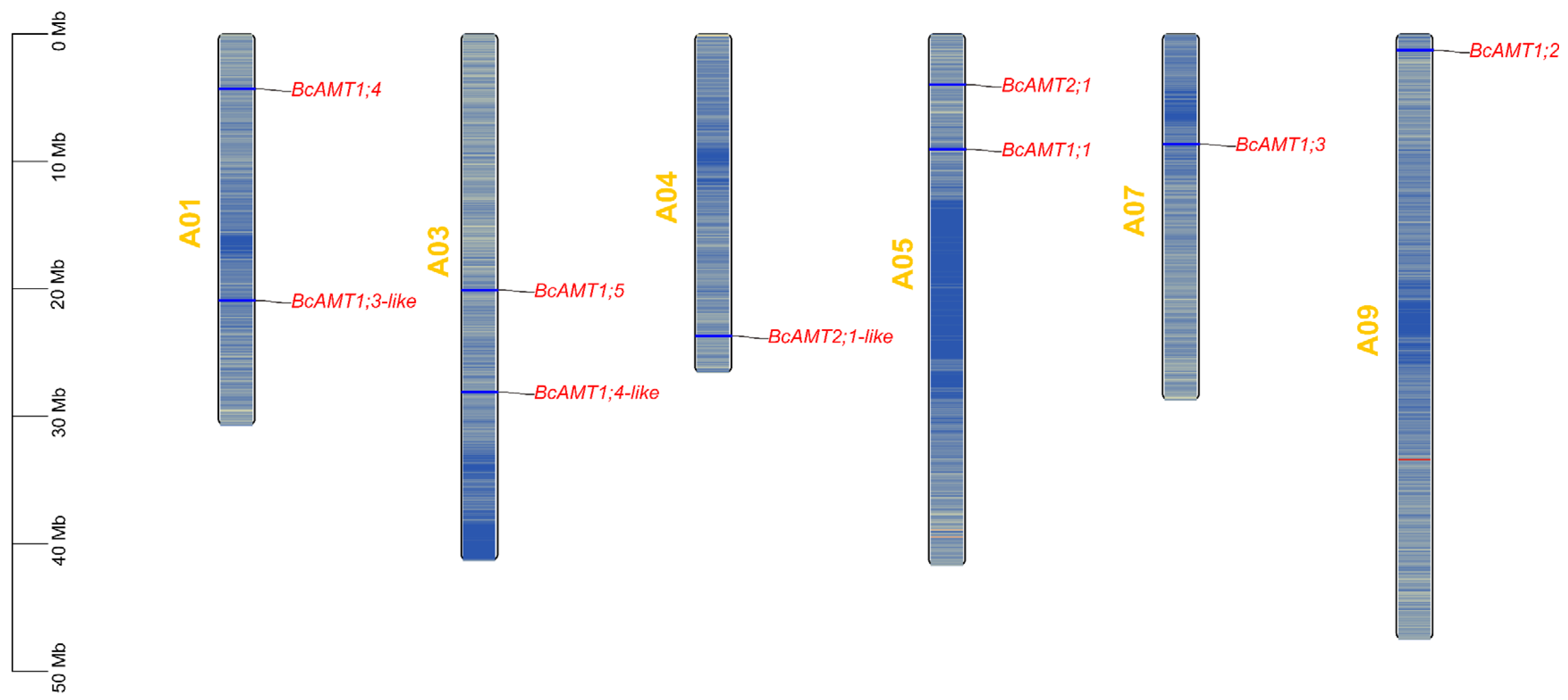 Plants 14 03812 g001 Plants 14 03812 g001