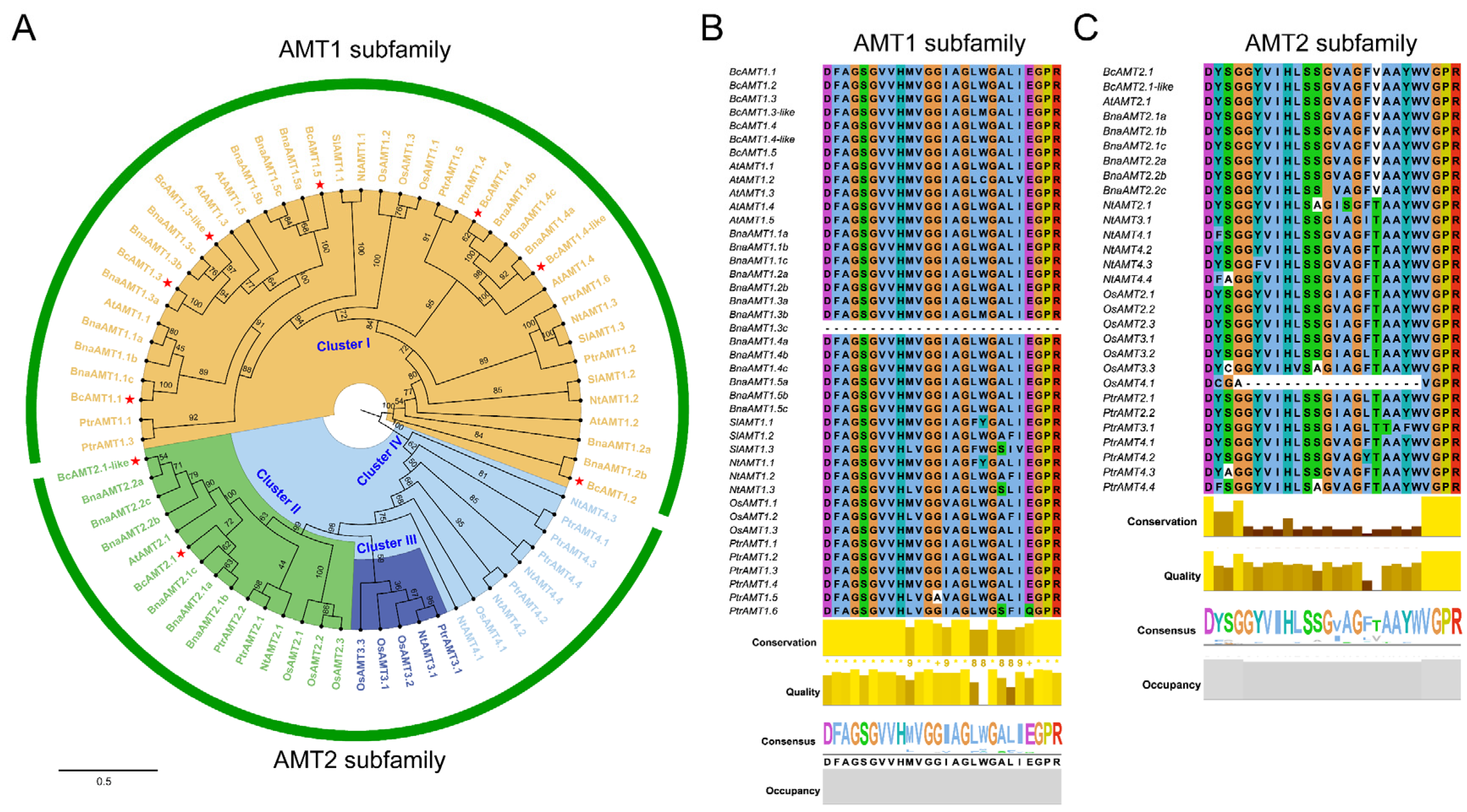 Plants 14 03812 g002 Plants 14 03812 g002