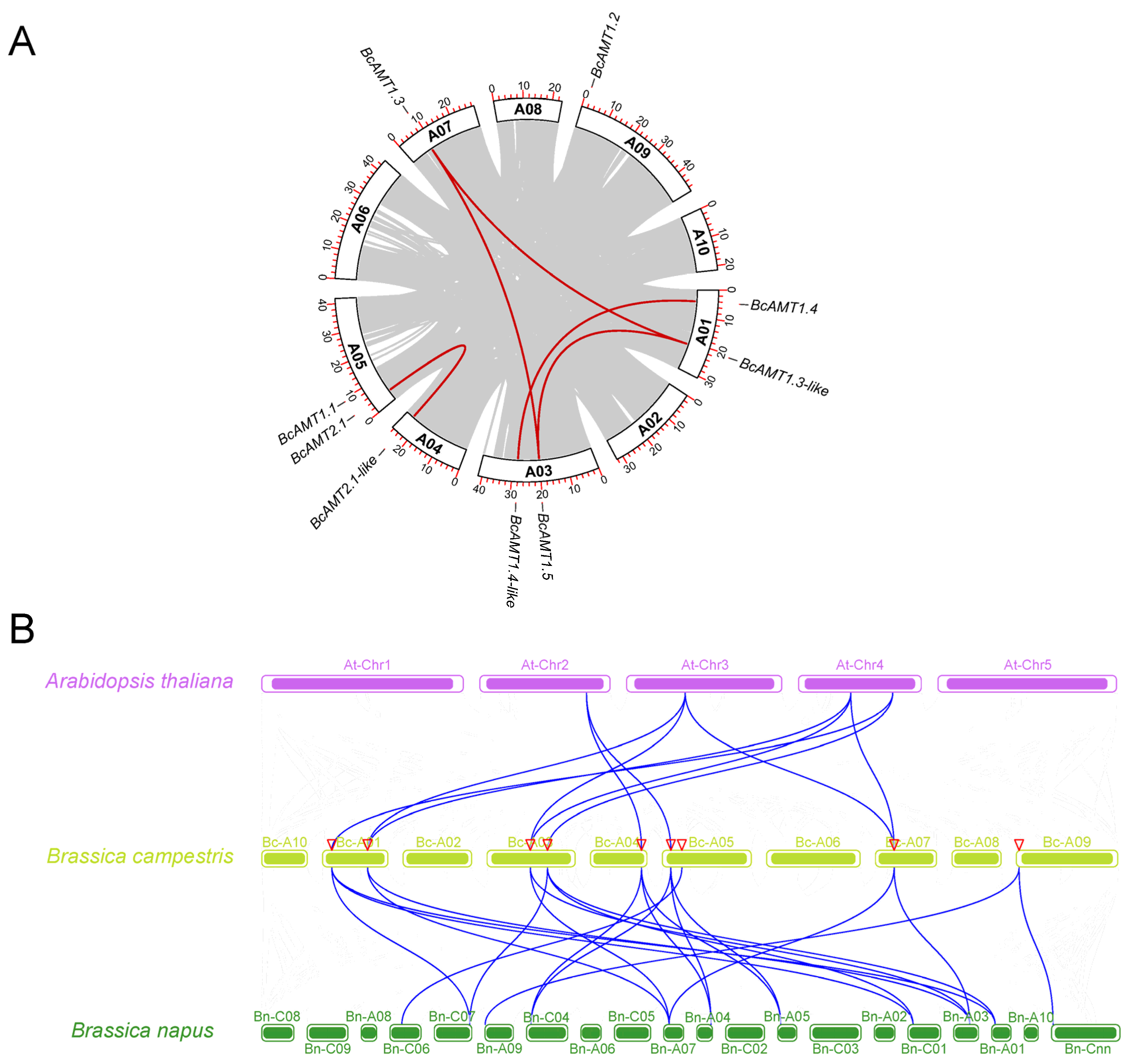 Plants 14 03812 g004 Plants 14 03812 g004