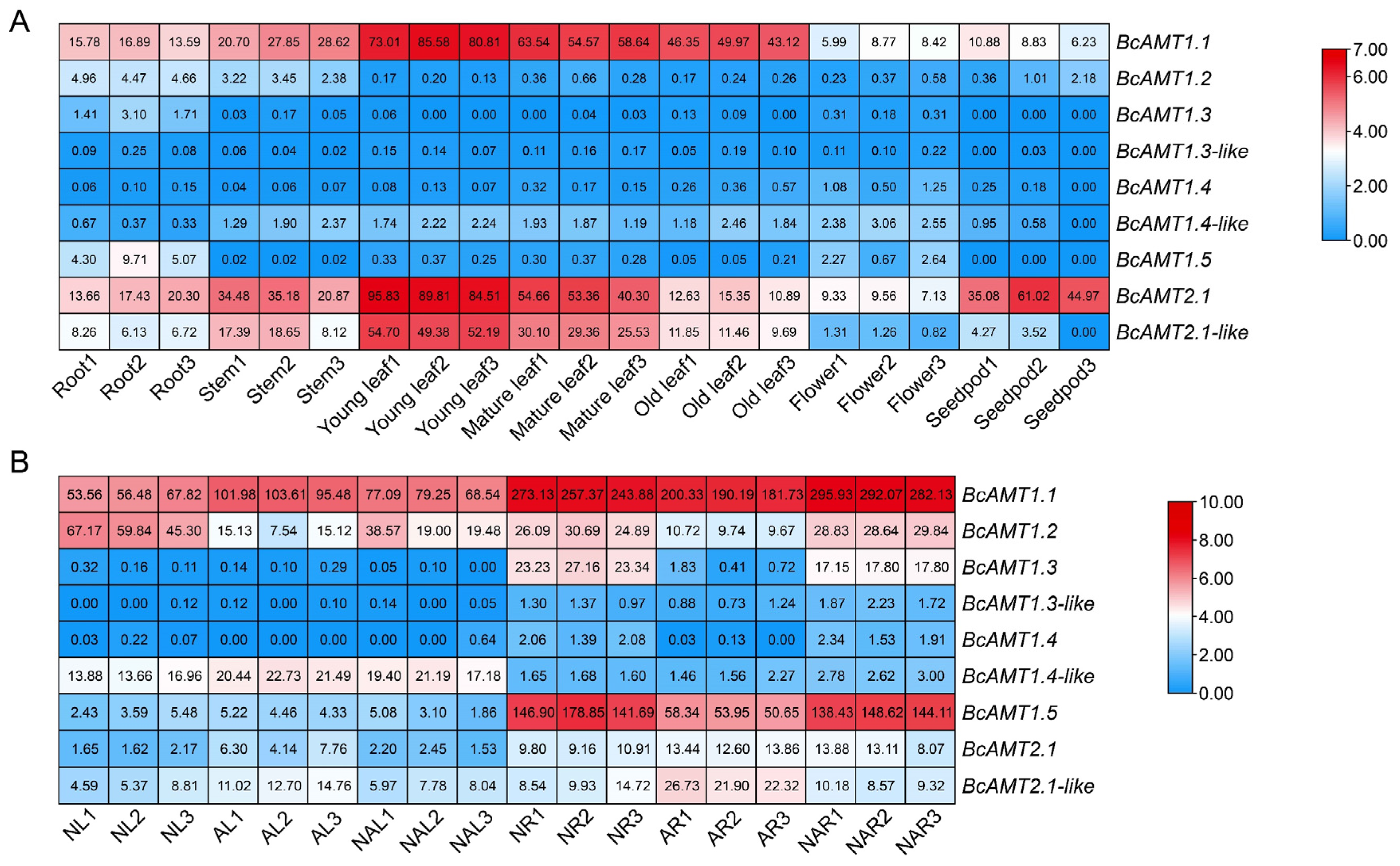 Plants 14 03812 g006 Plants 14 03812 g006