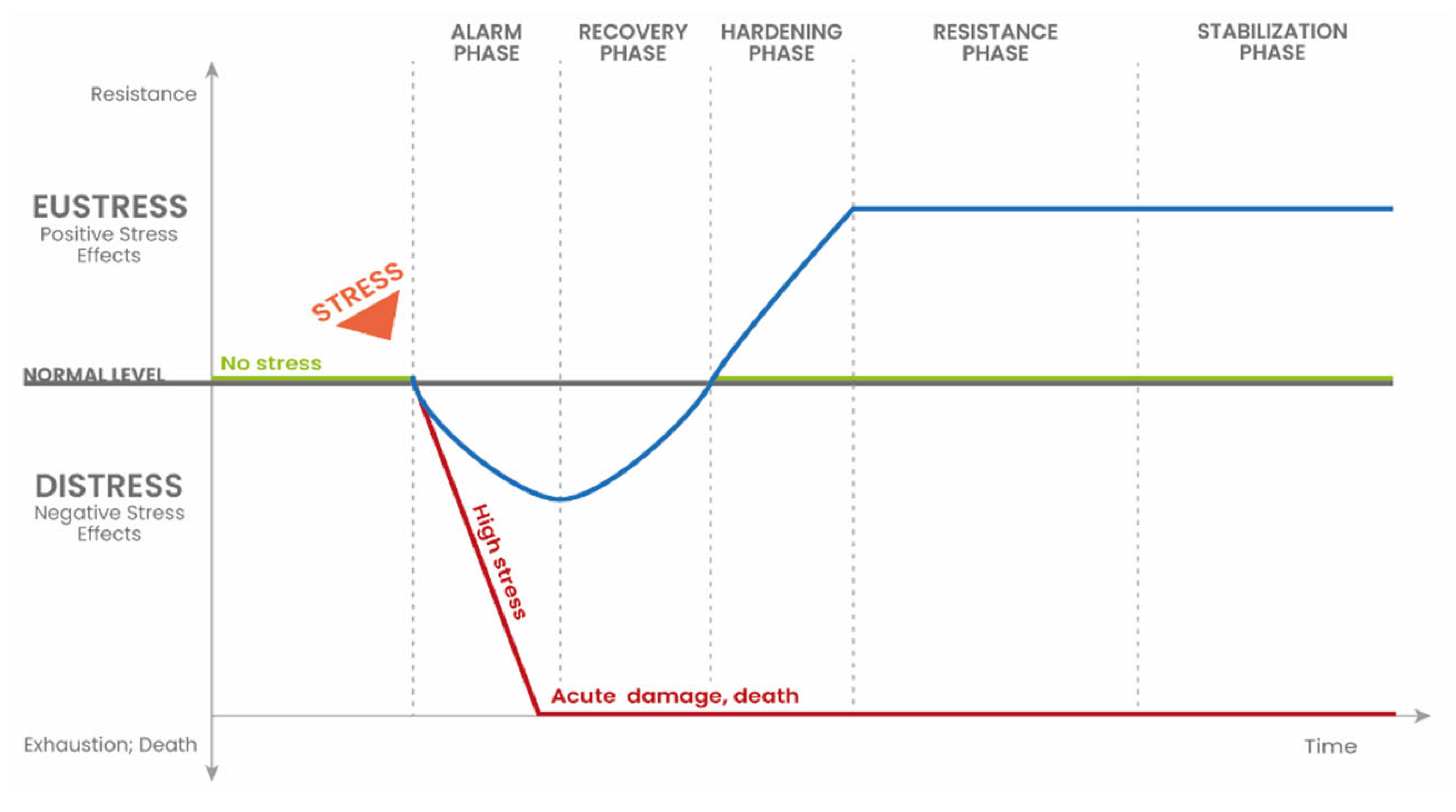 Plants 14 03815 g001 Plants 14 03815 g001