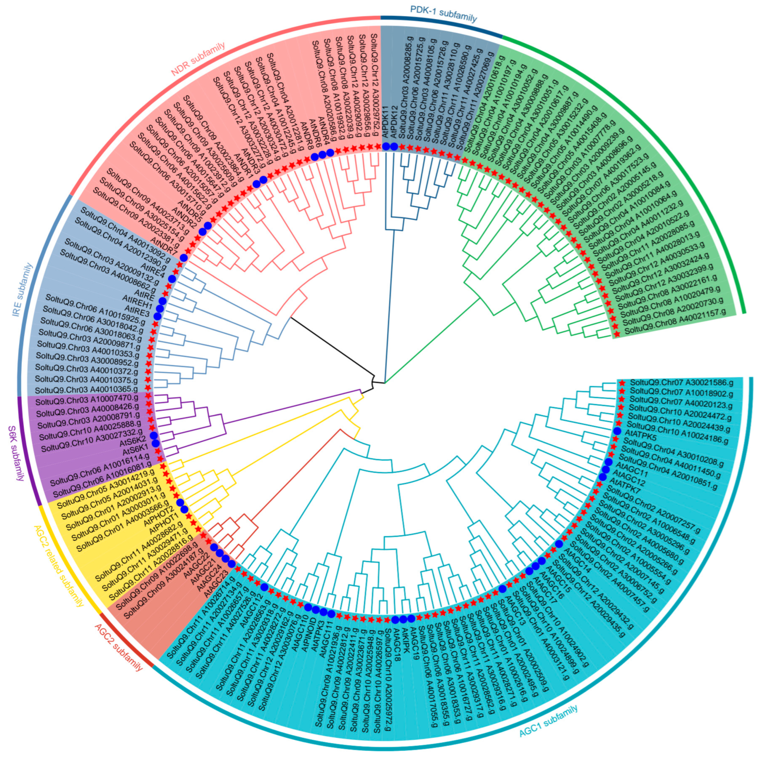 Plants 14 03818 g001