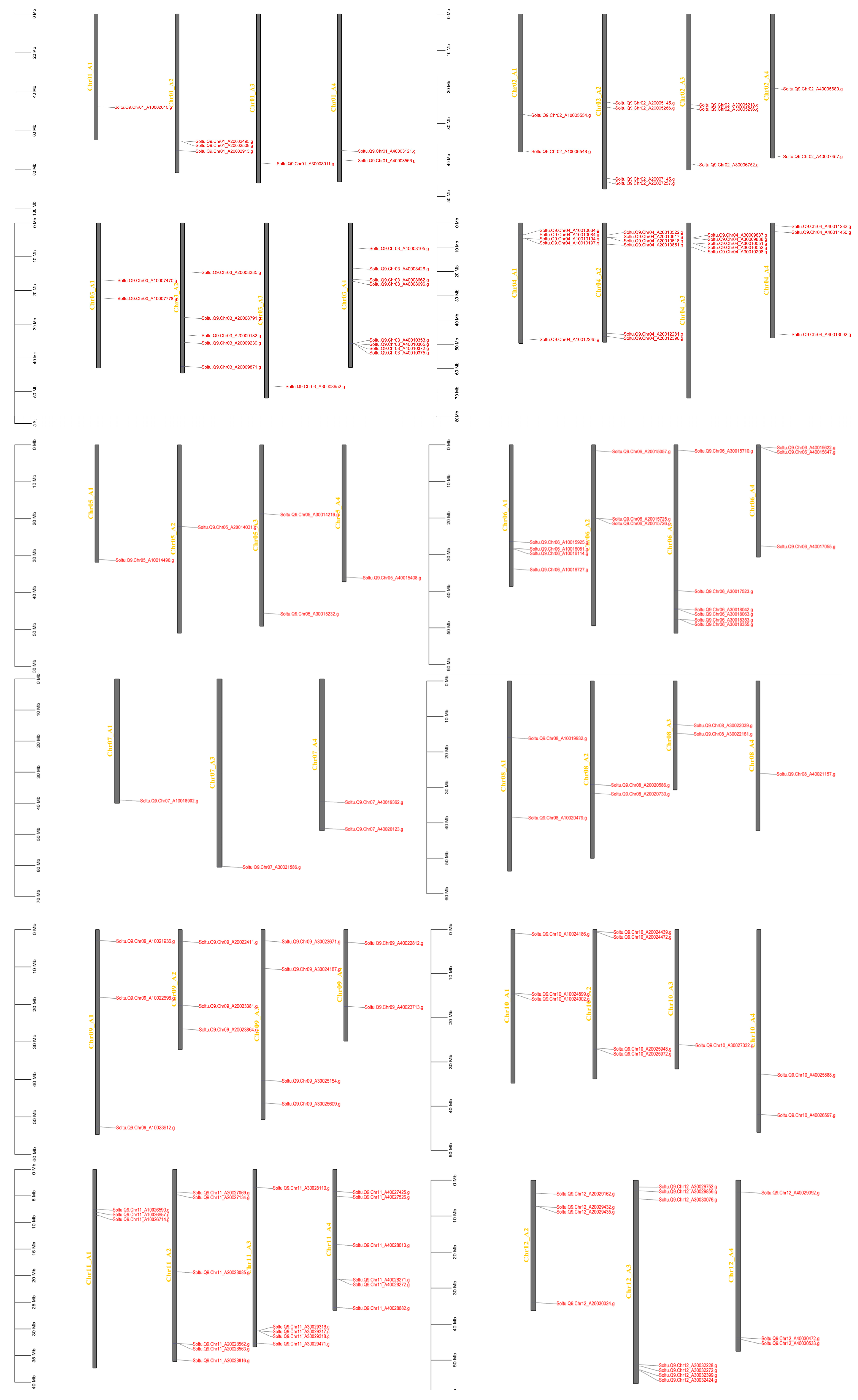 Plants 14 03818 g003