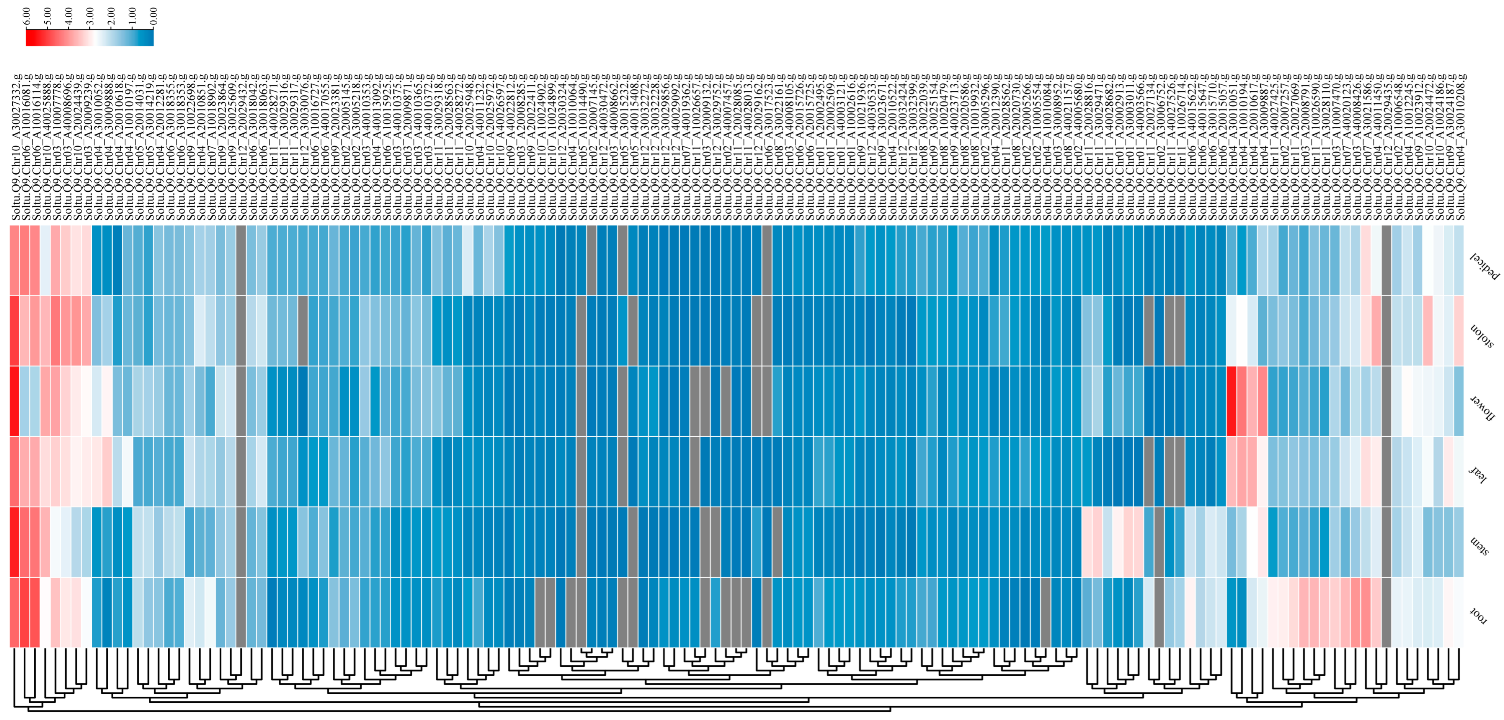 Plants 14 03818 g007