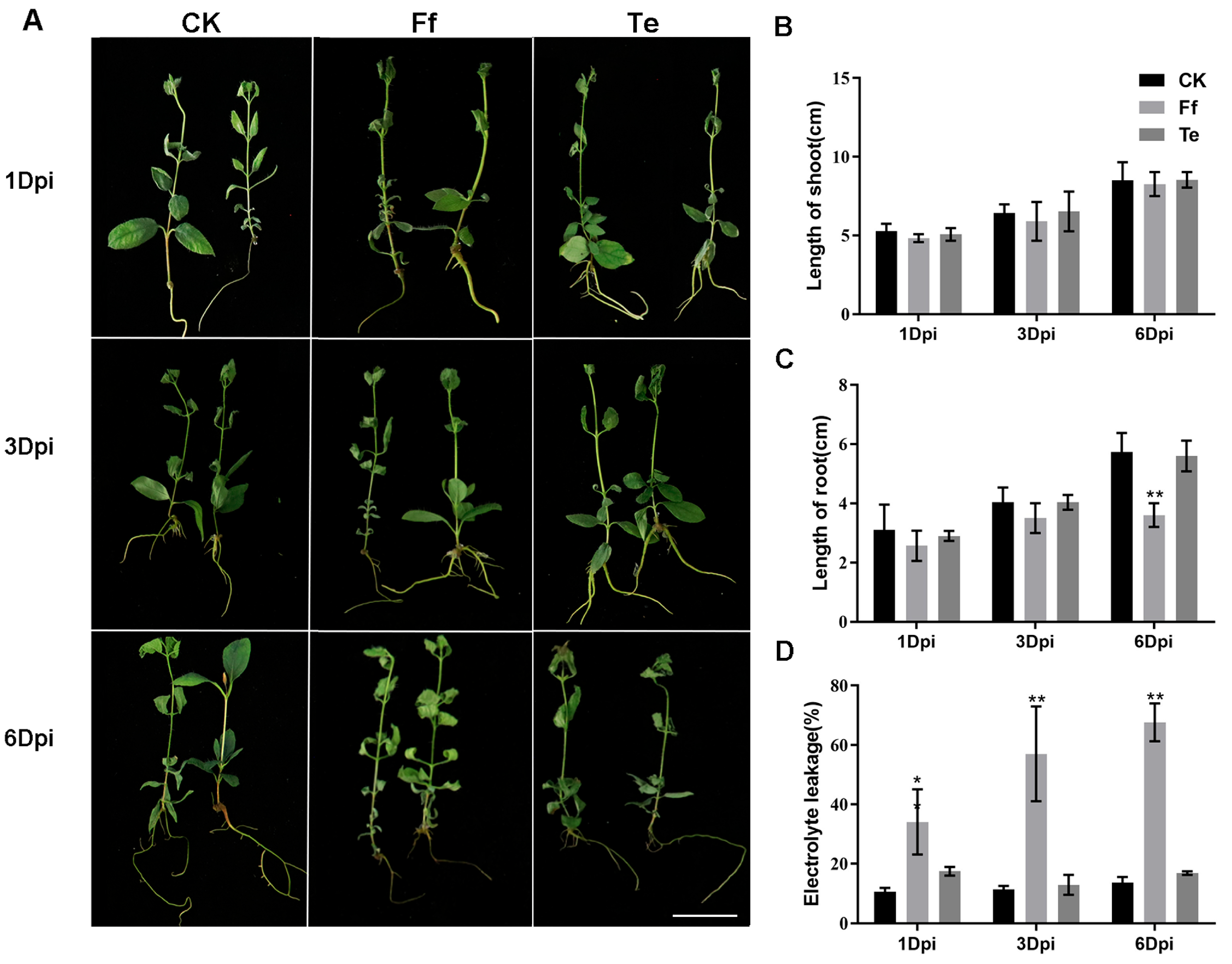 Plants 14 03820 g005