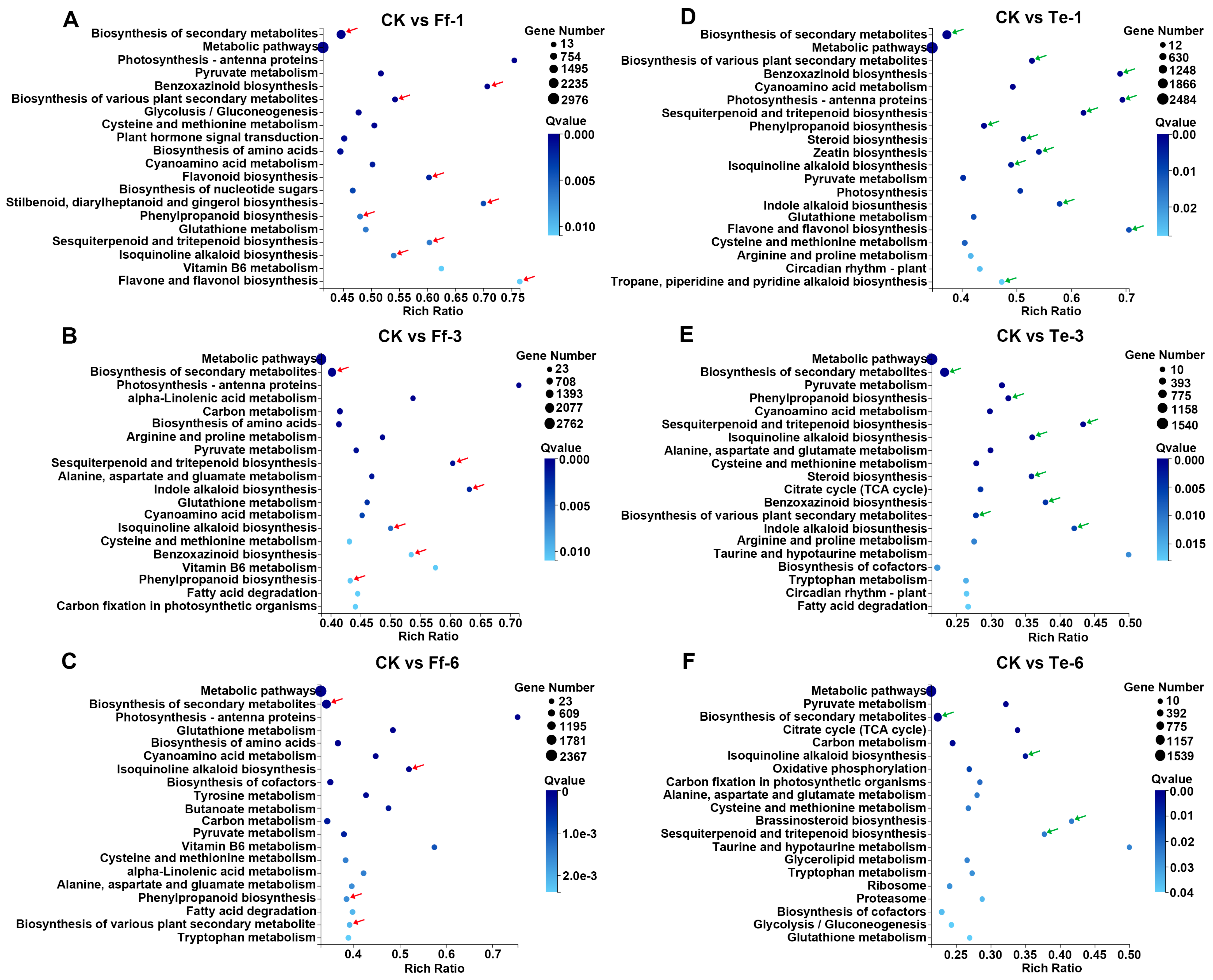Plants 14 03820 g007