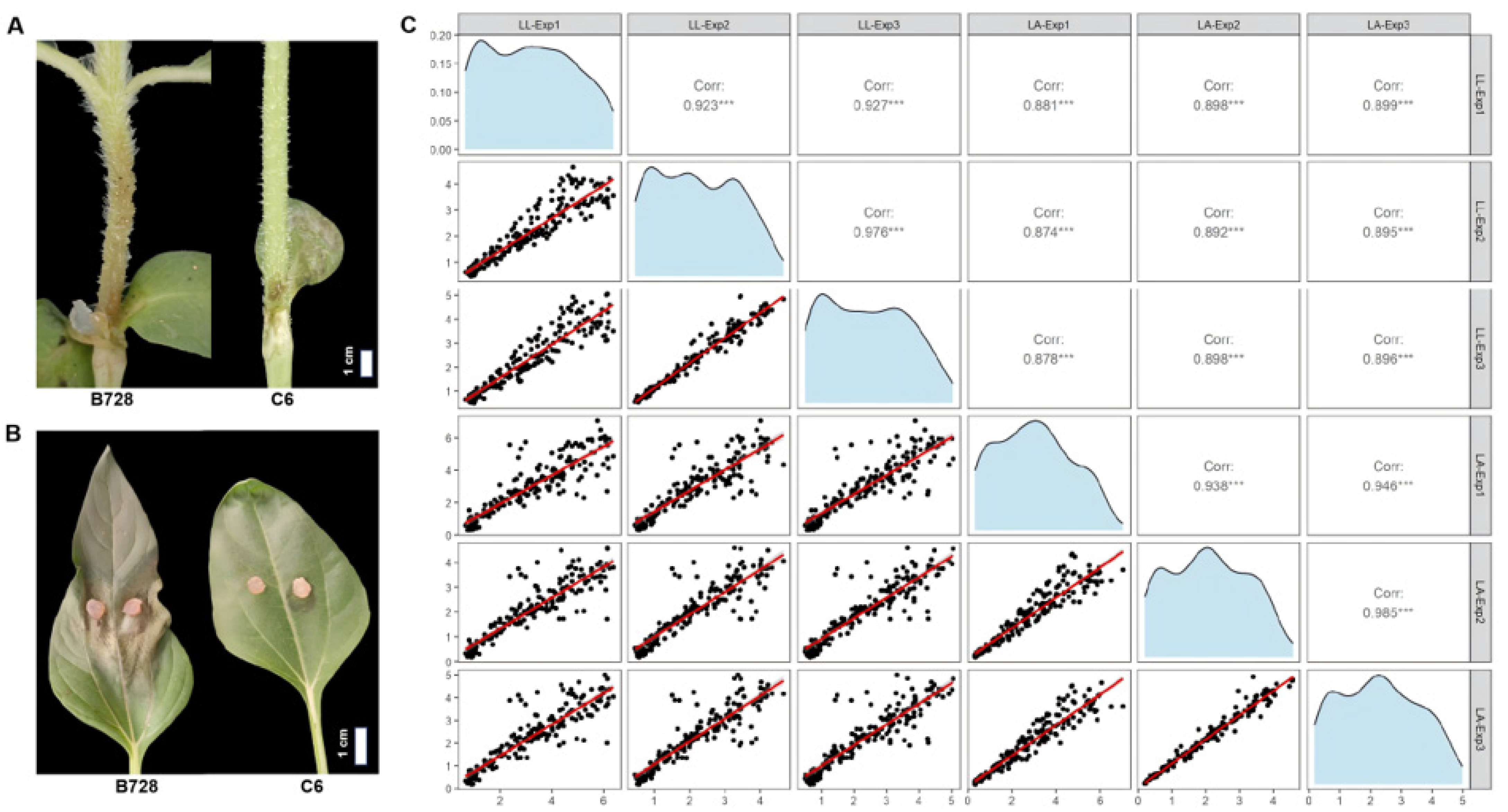 Plants 14 03826 g001 Plants 14 03826 g001