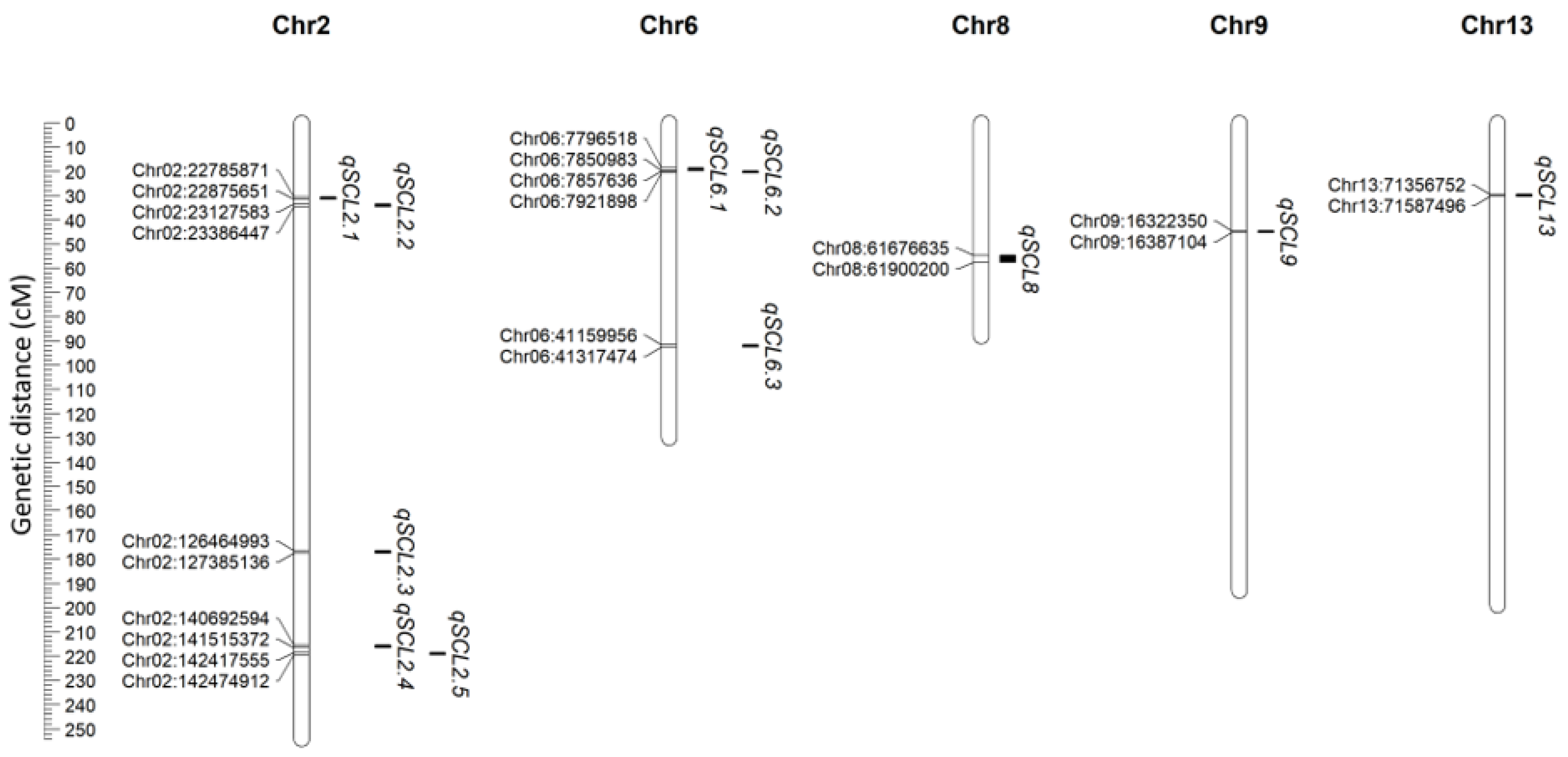 Plants 14 03826 g002 Plants 14 03826 g002