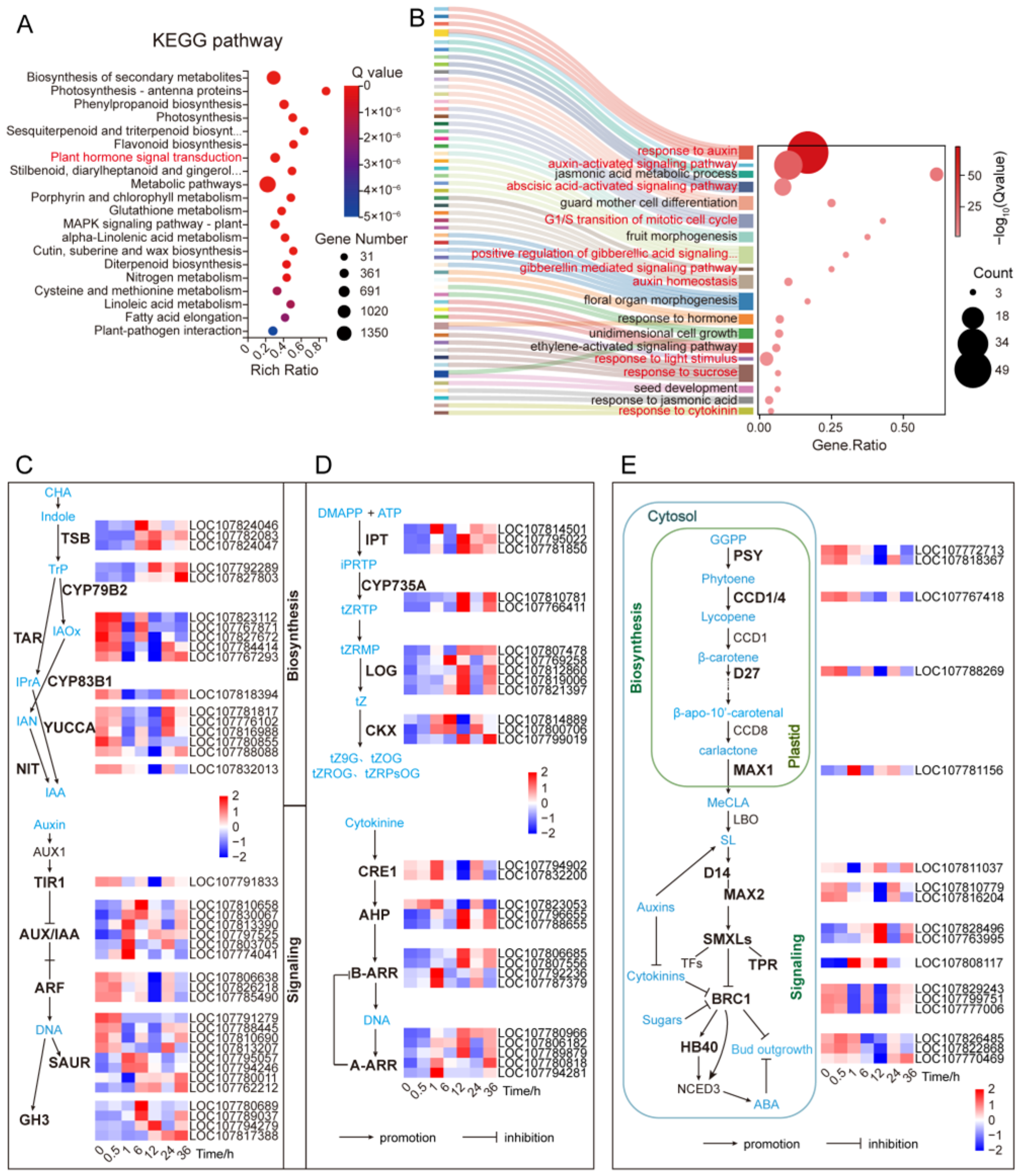 Plants 14 03830 g002