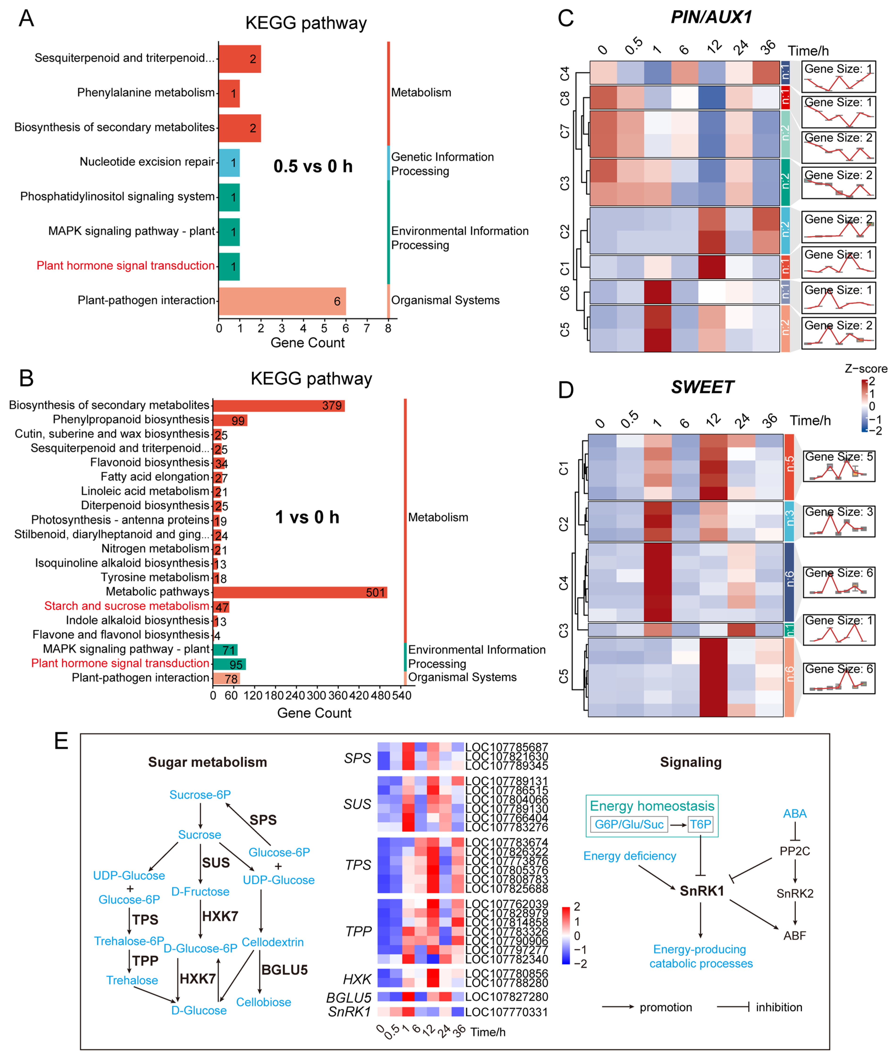 Plants 14 03830 g004