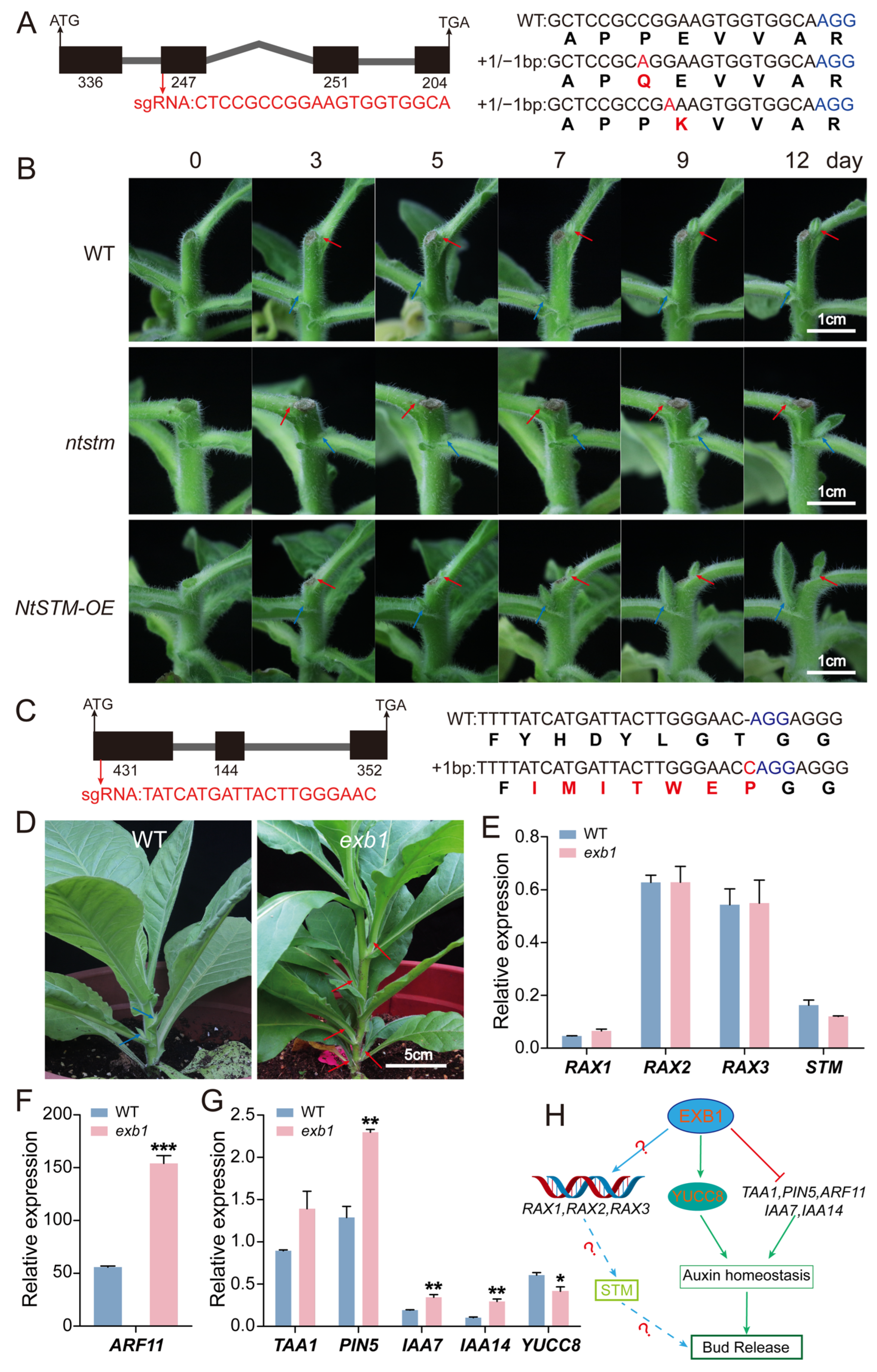 Plants 14 03830 g006