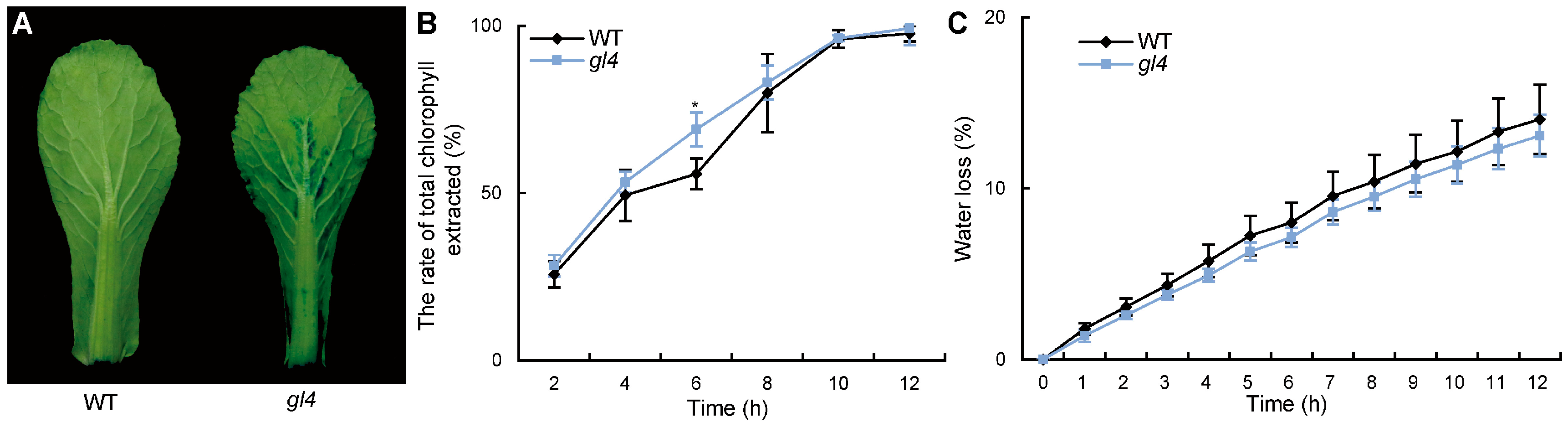 Plants 14 03831 g003