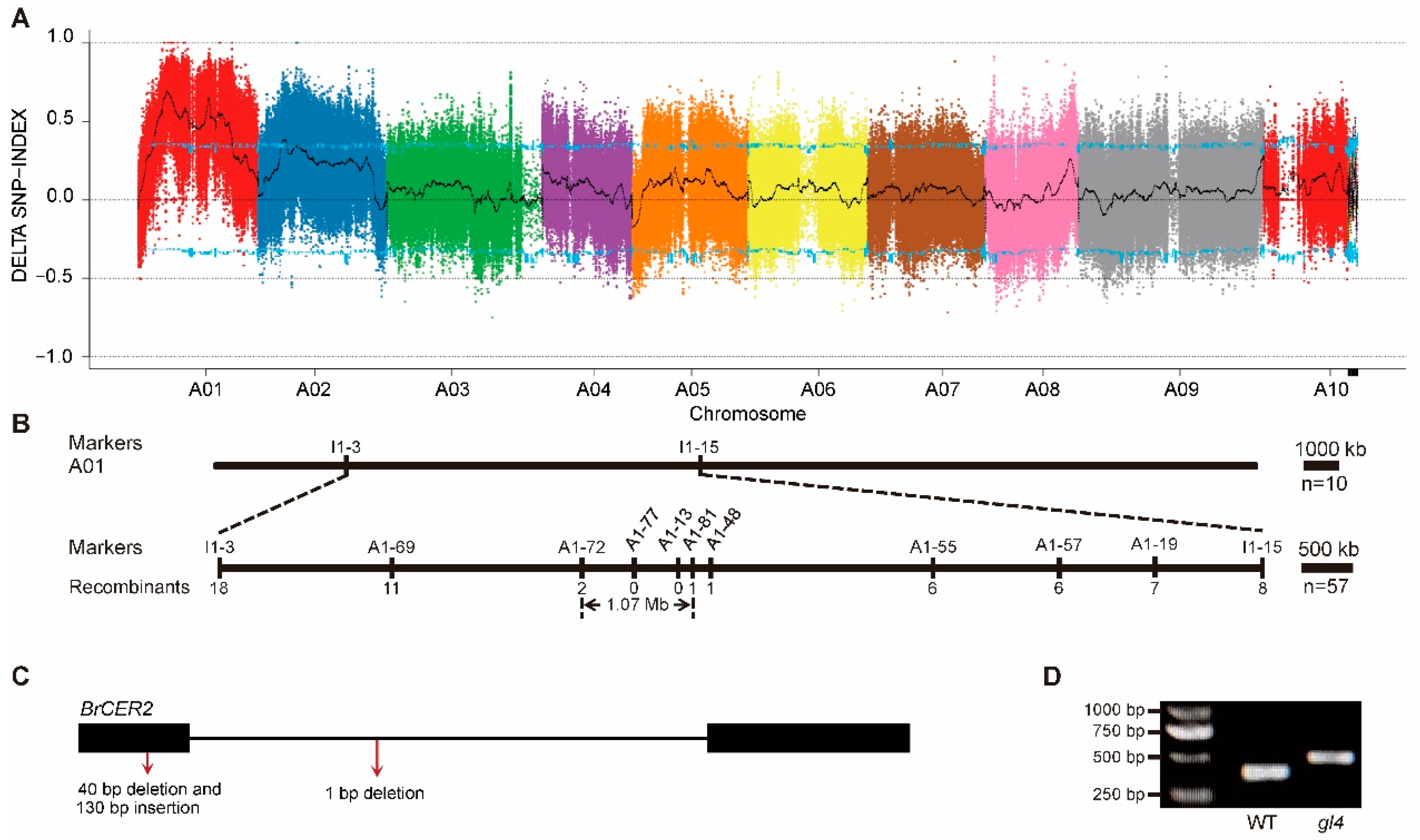 Plants 14 03831 g004