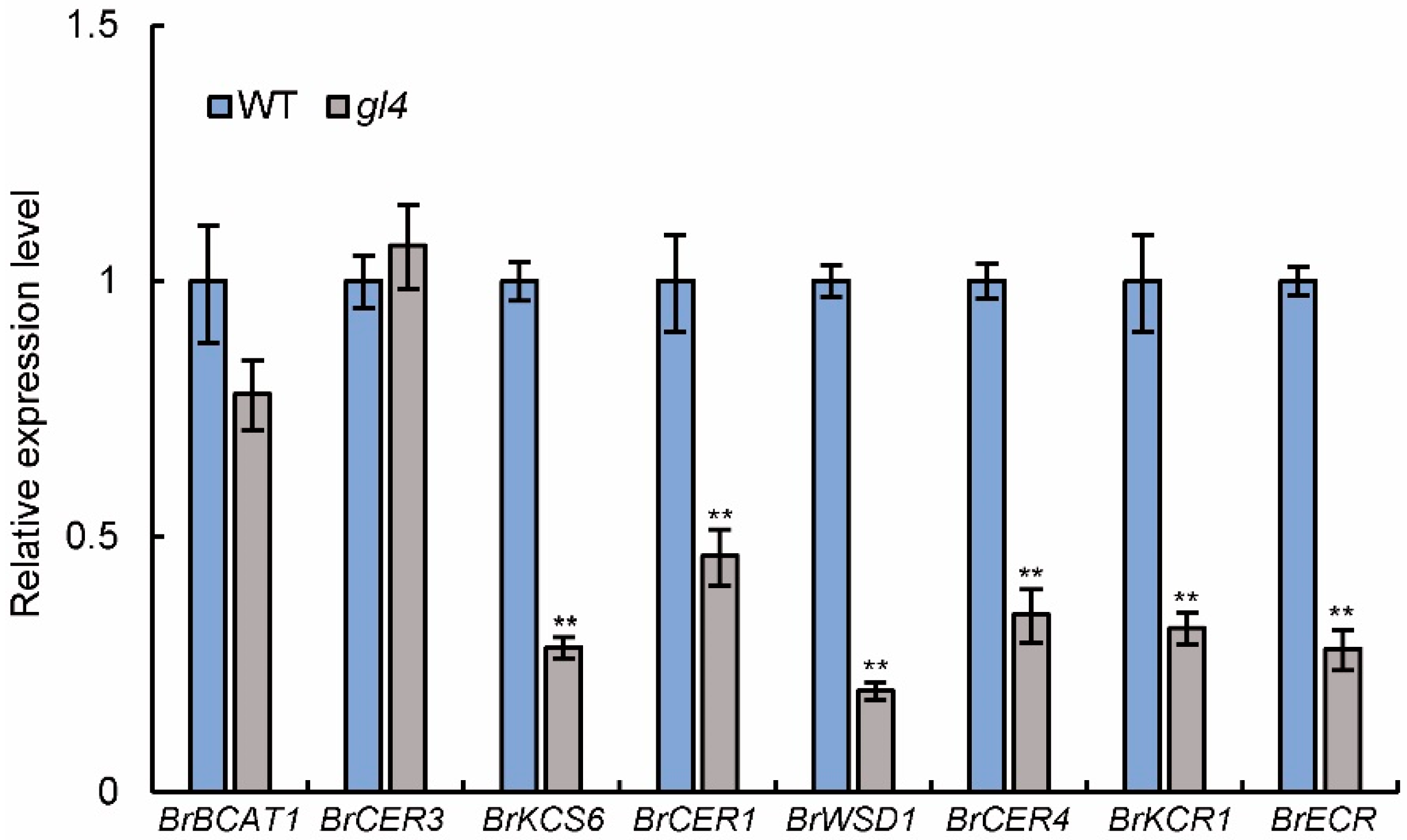 Plants 14 03831 g006