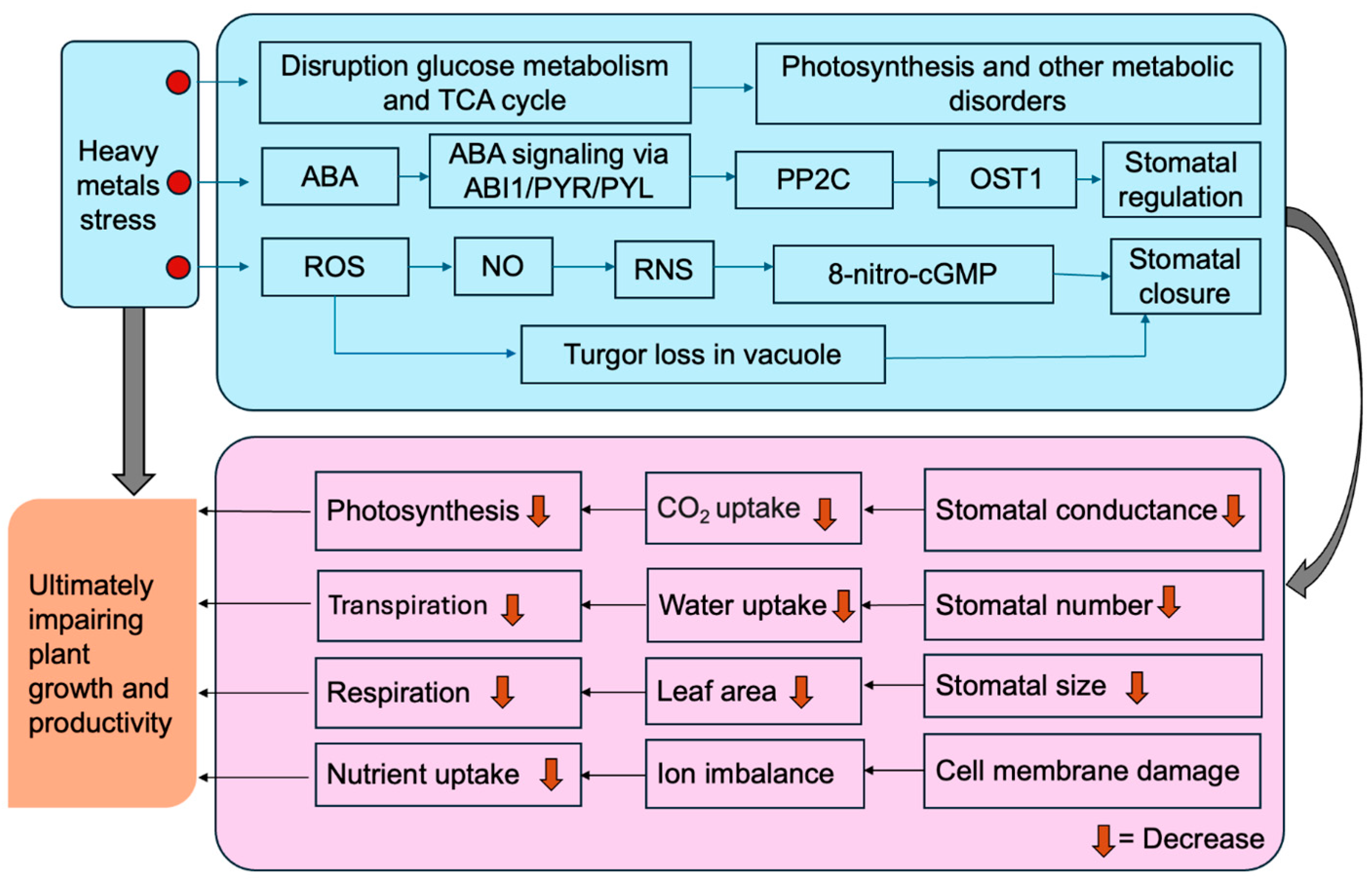 Plants 14 03834 g002 Plants 14 03834 g002