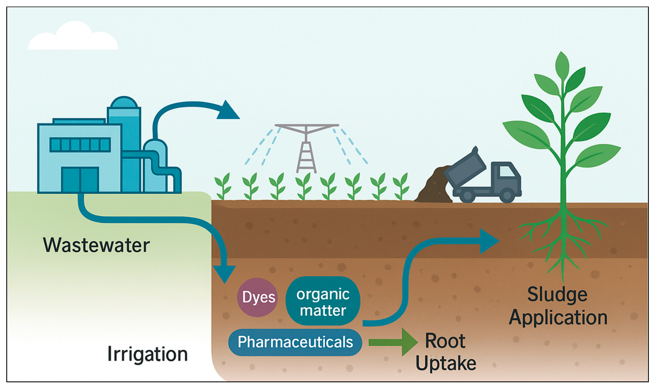 Plants 14 03835 g001