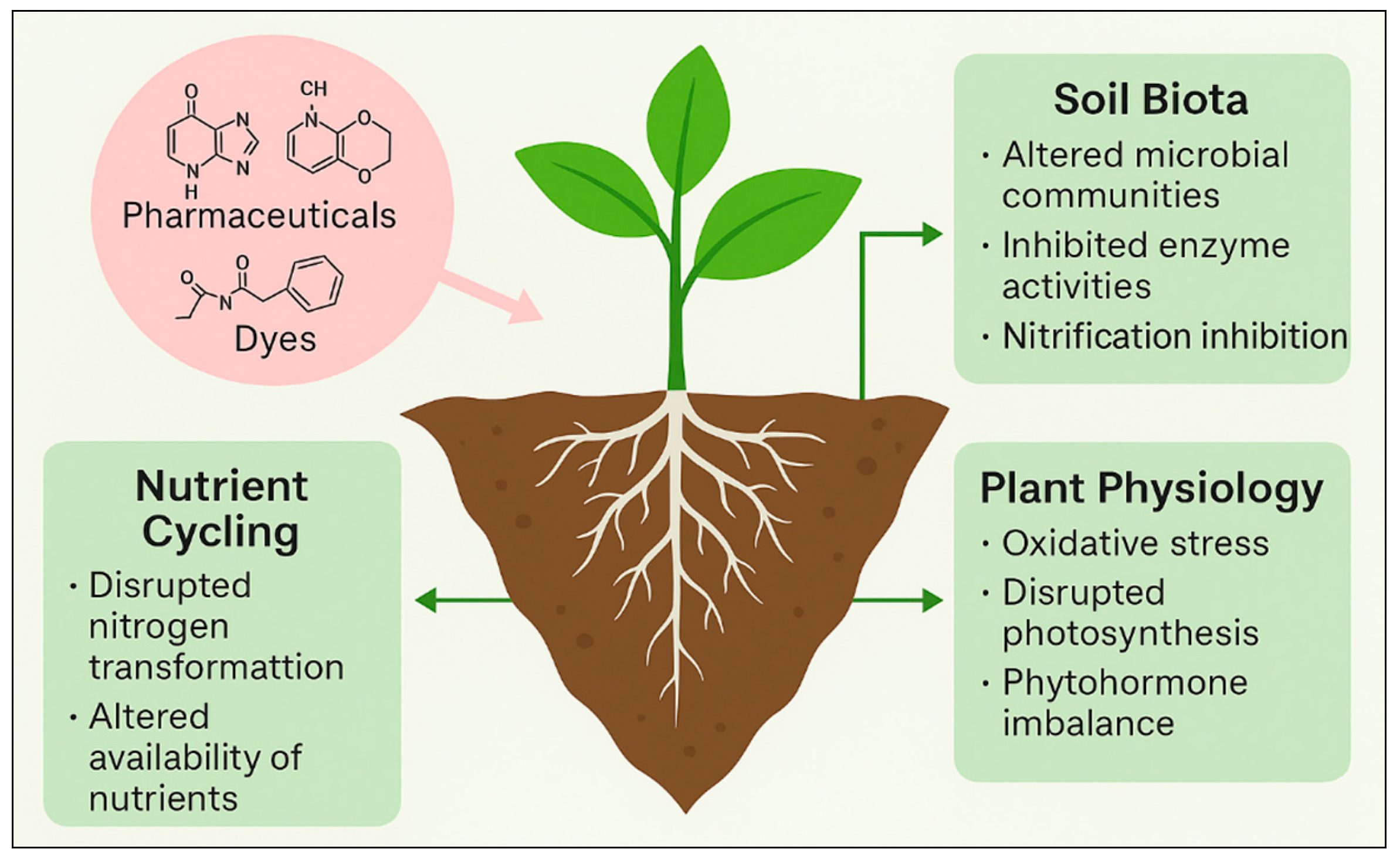 Plants 14 03835 g002