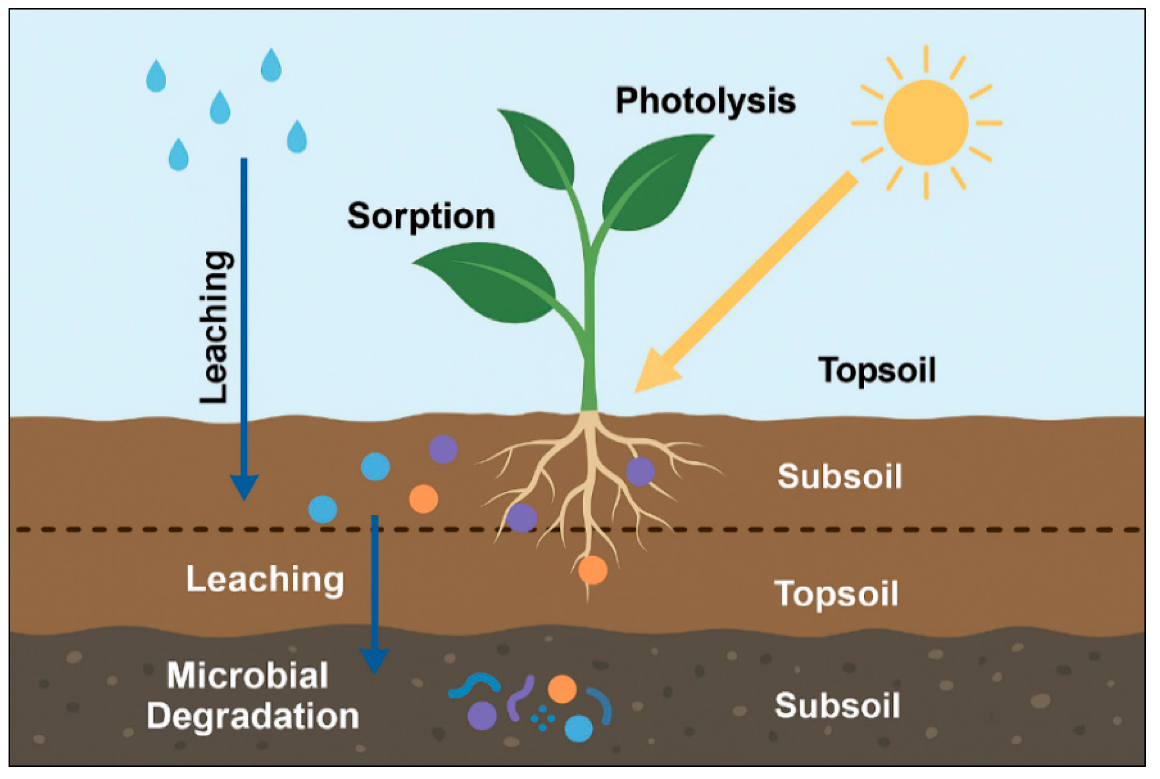 Plants 14 03835 g004